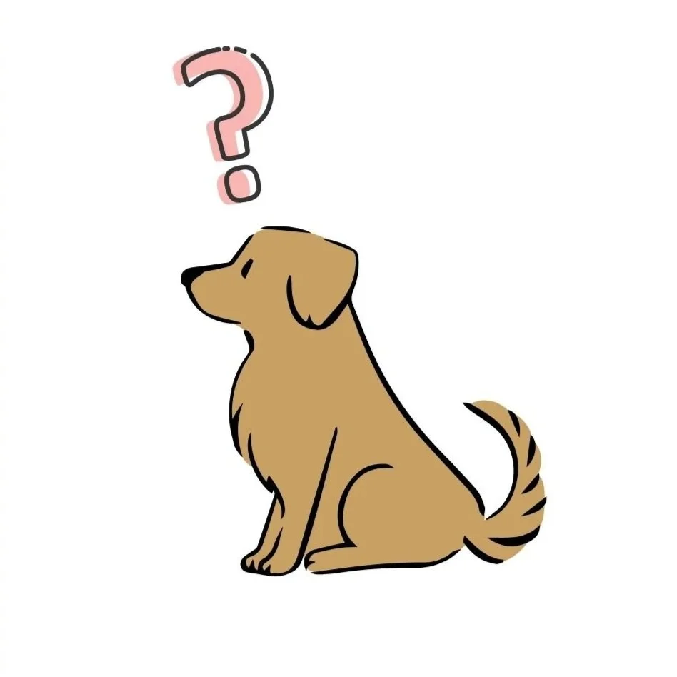 Illustration of a brown dog sitting with a pink question mark above its head.