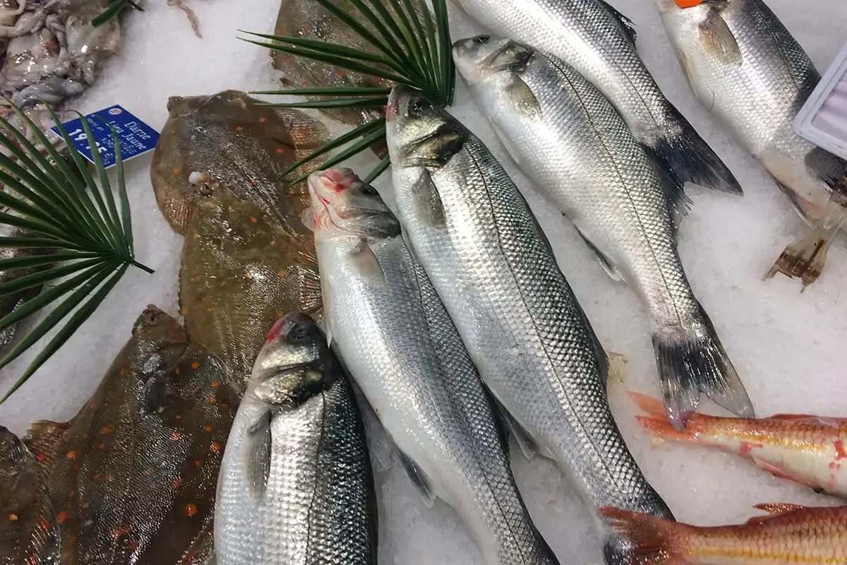 POISSONS/ FISH