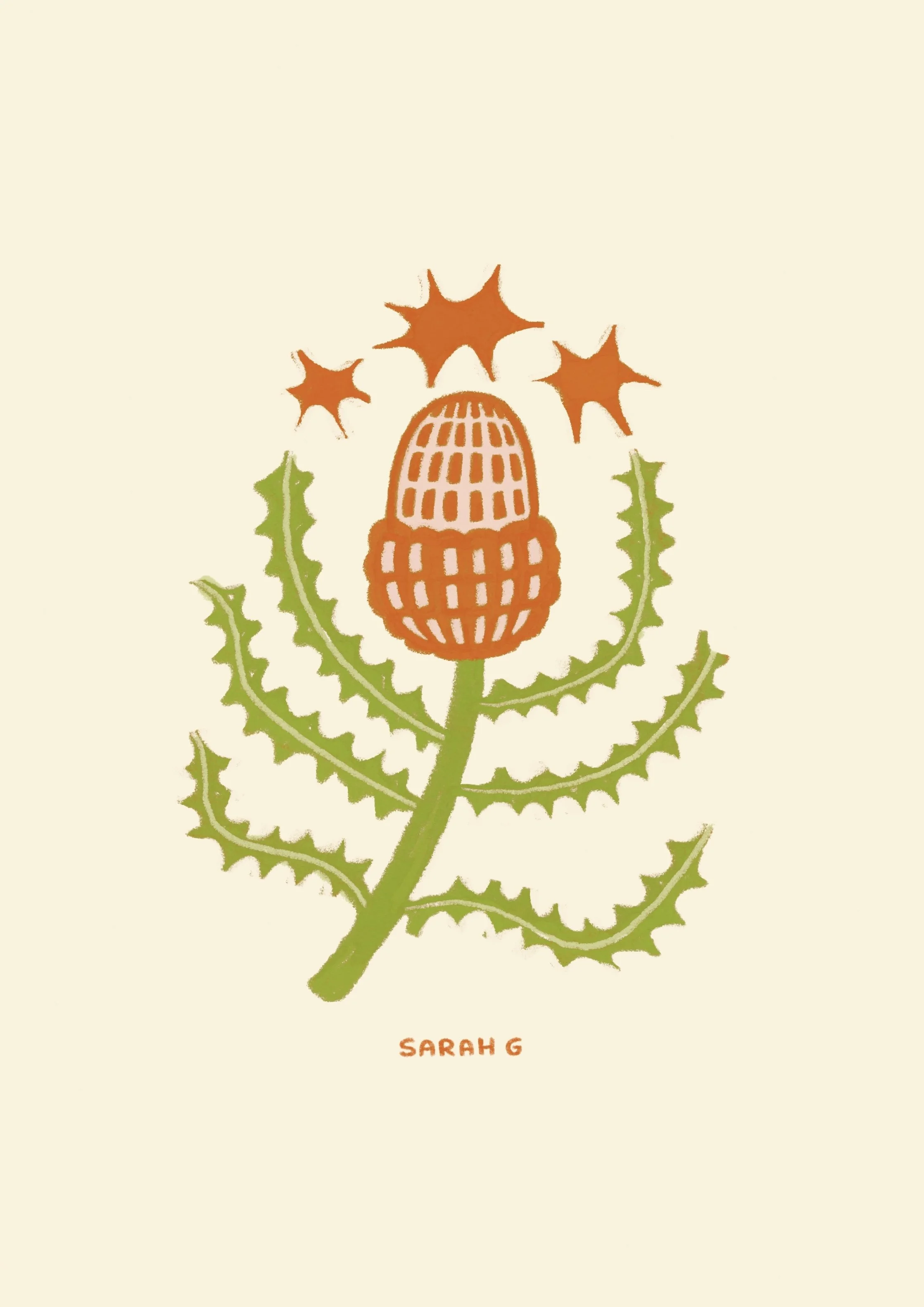 Acorn Banksia_Sarah Gee.jpg
