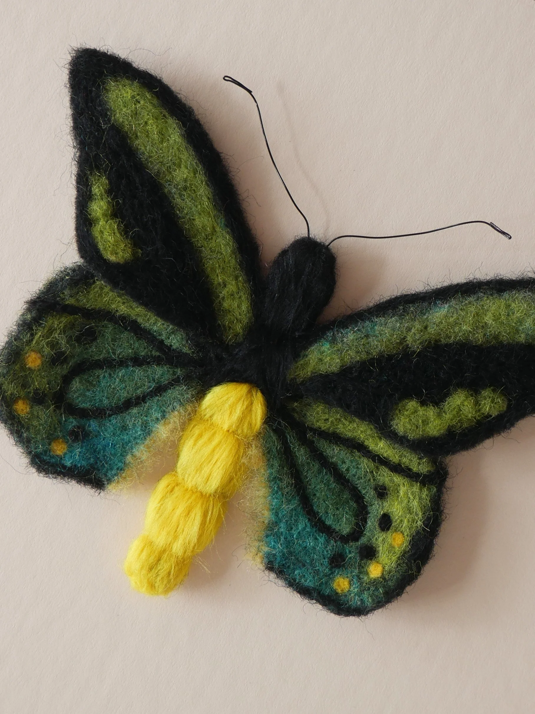 Richmond Birdwing Butterfly Felt.jpg