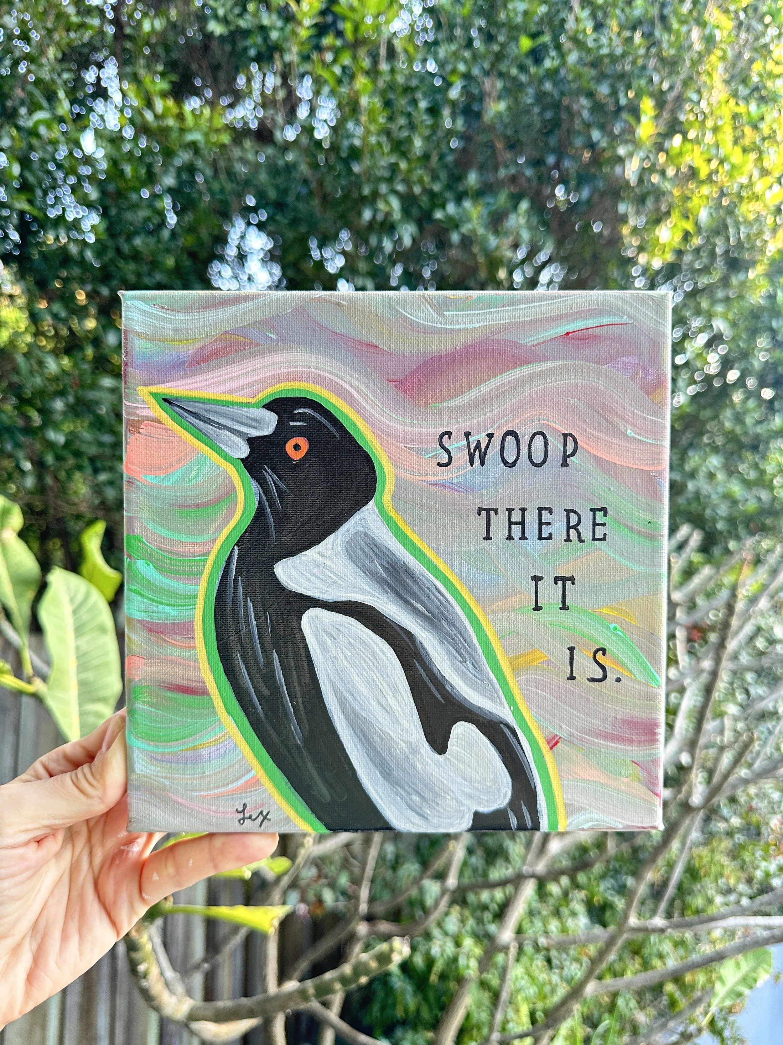 Swooping Magpie