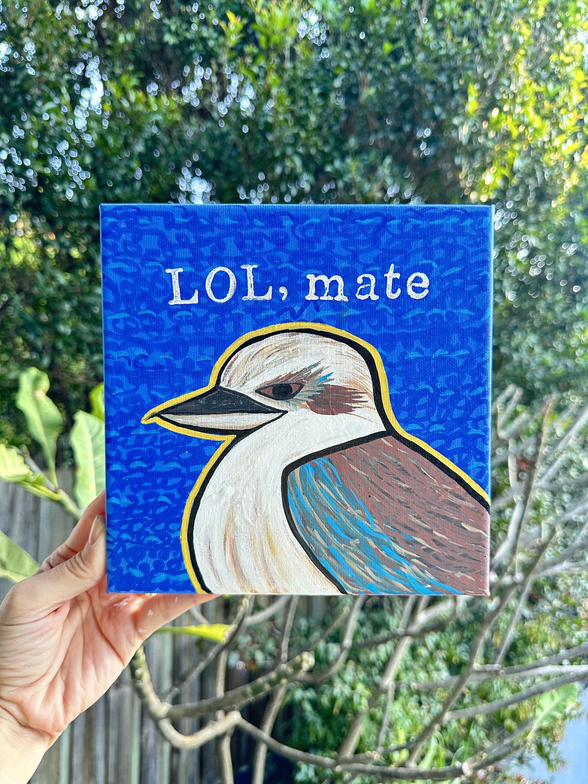 Laughing Kookaburra