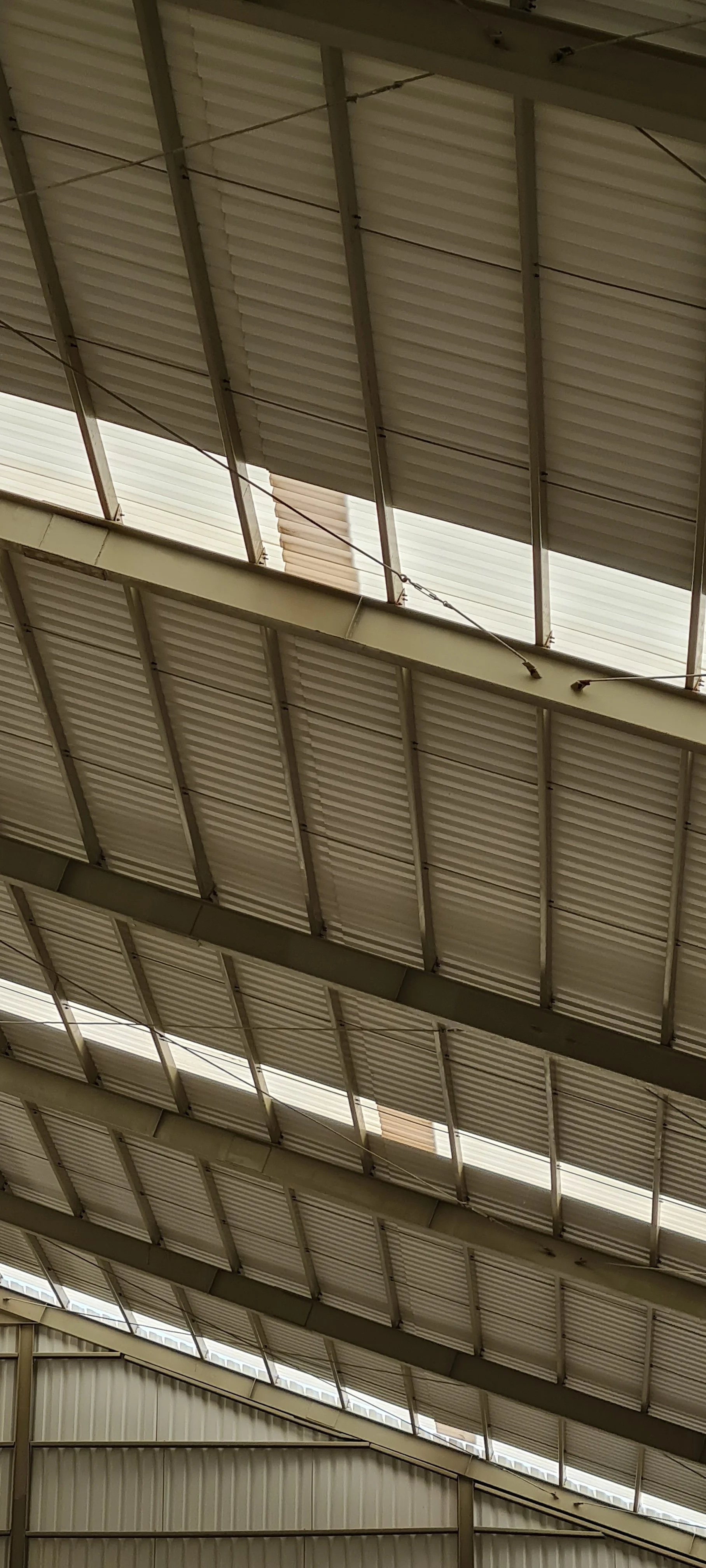 View of an industrial ceiling with metal roofing panels and skylights.