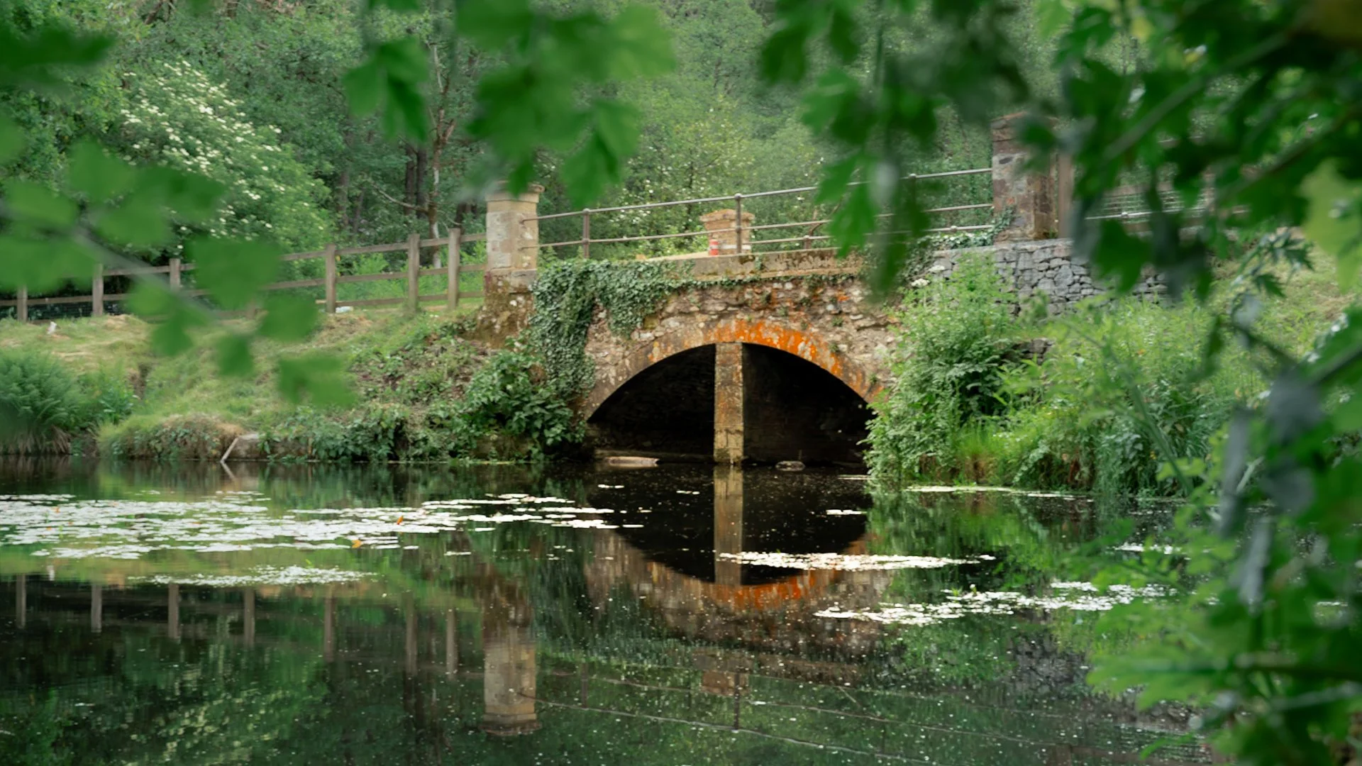 A Photographer's Walk at Otterhead Lakes