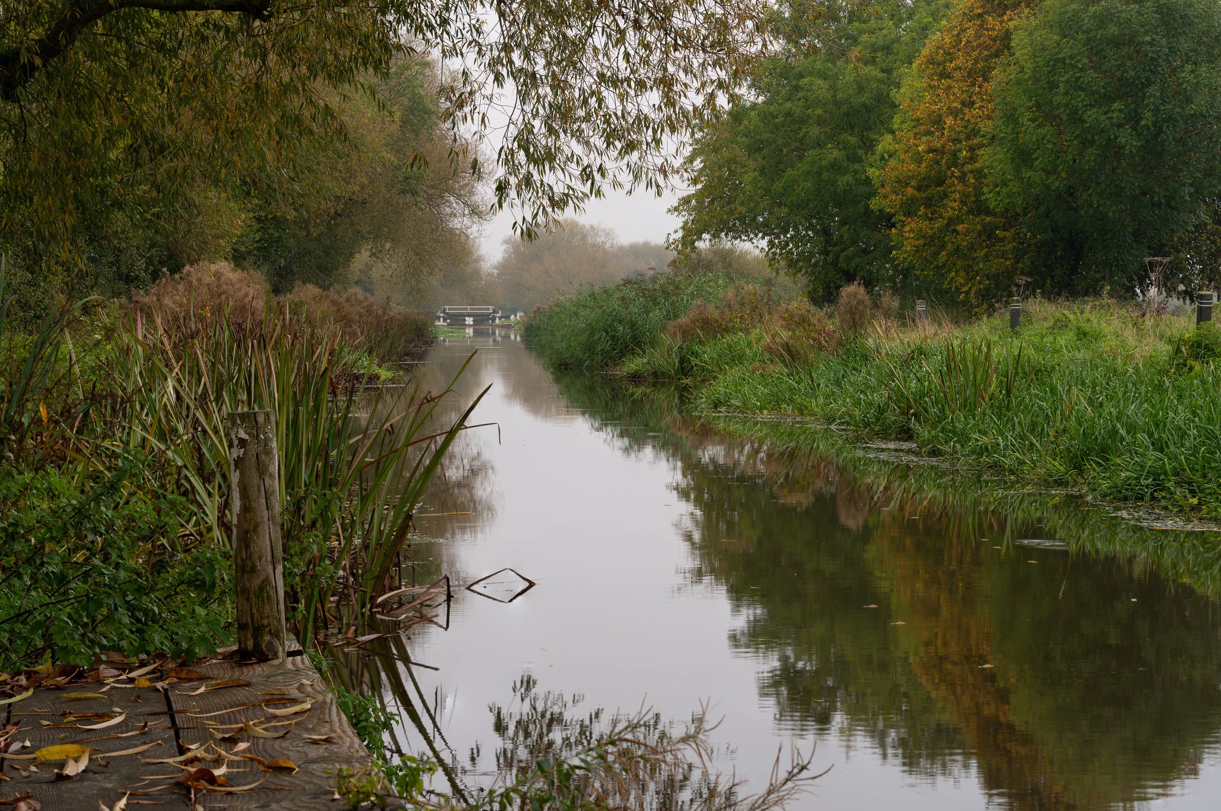 King's Lock, Somerset