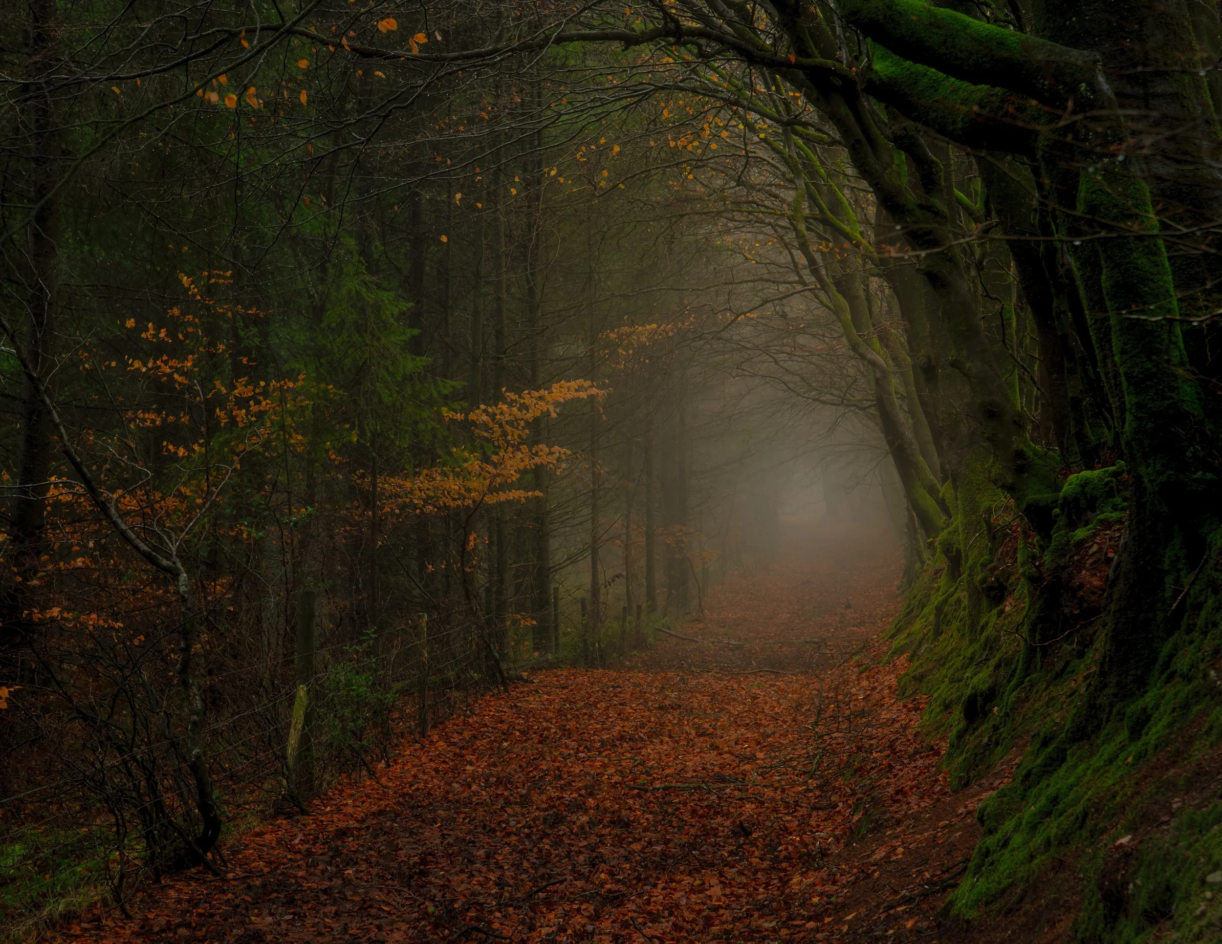 The Quantock Hills