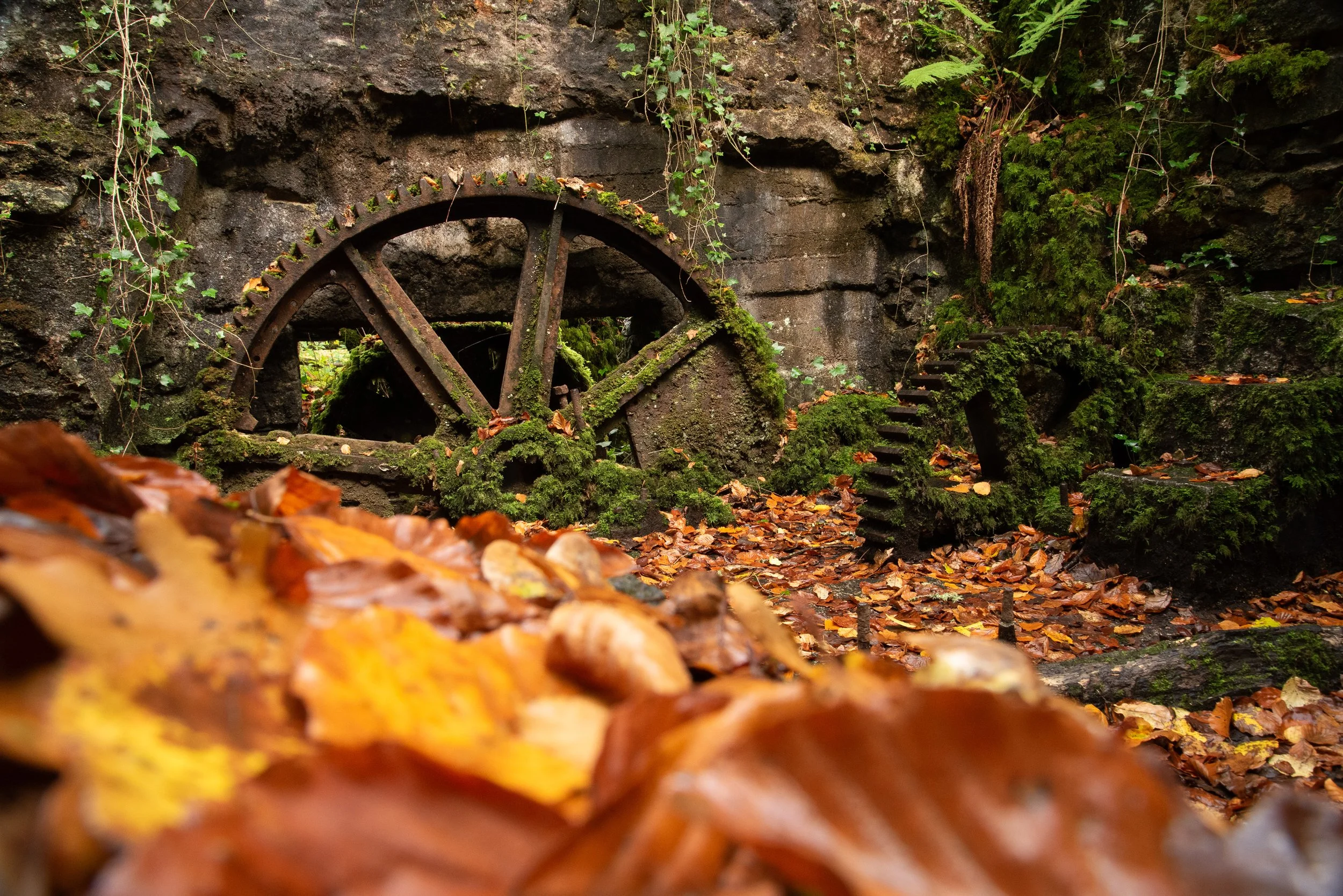 Kennall Vale, Cornwall