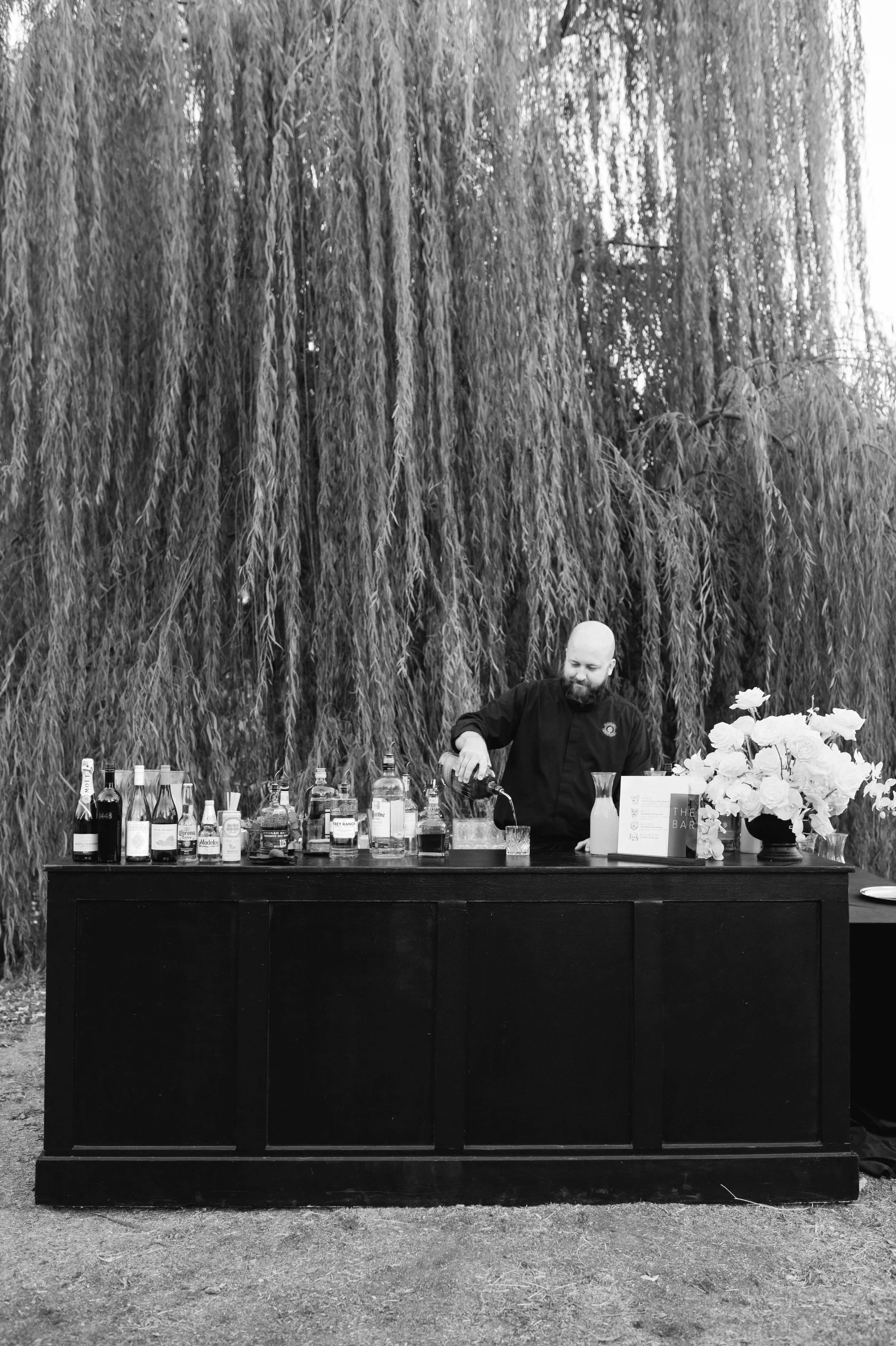 The Weeping Willow