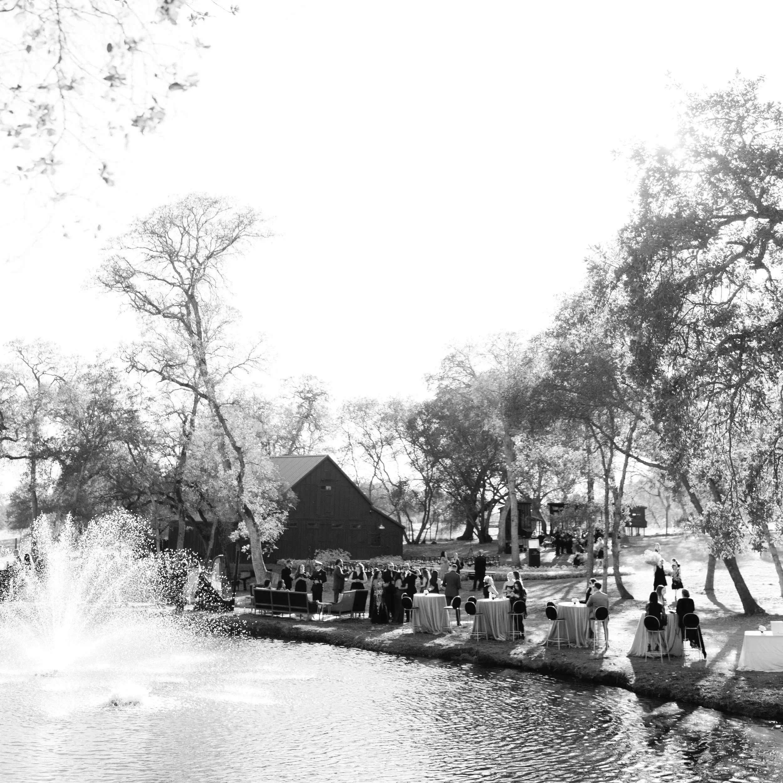 The Pond