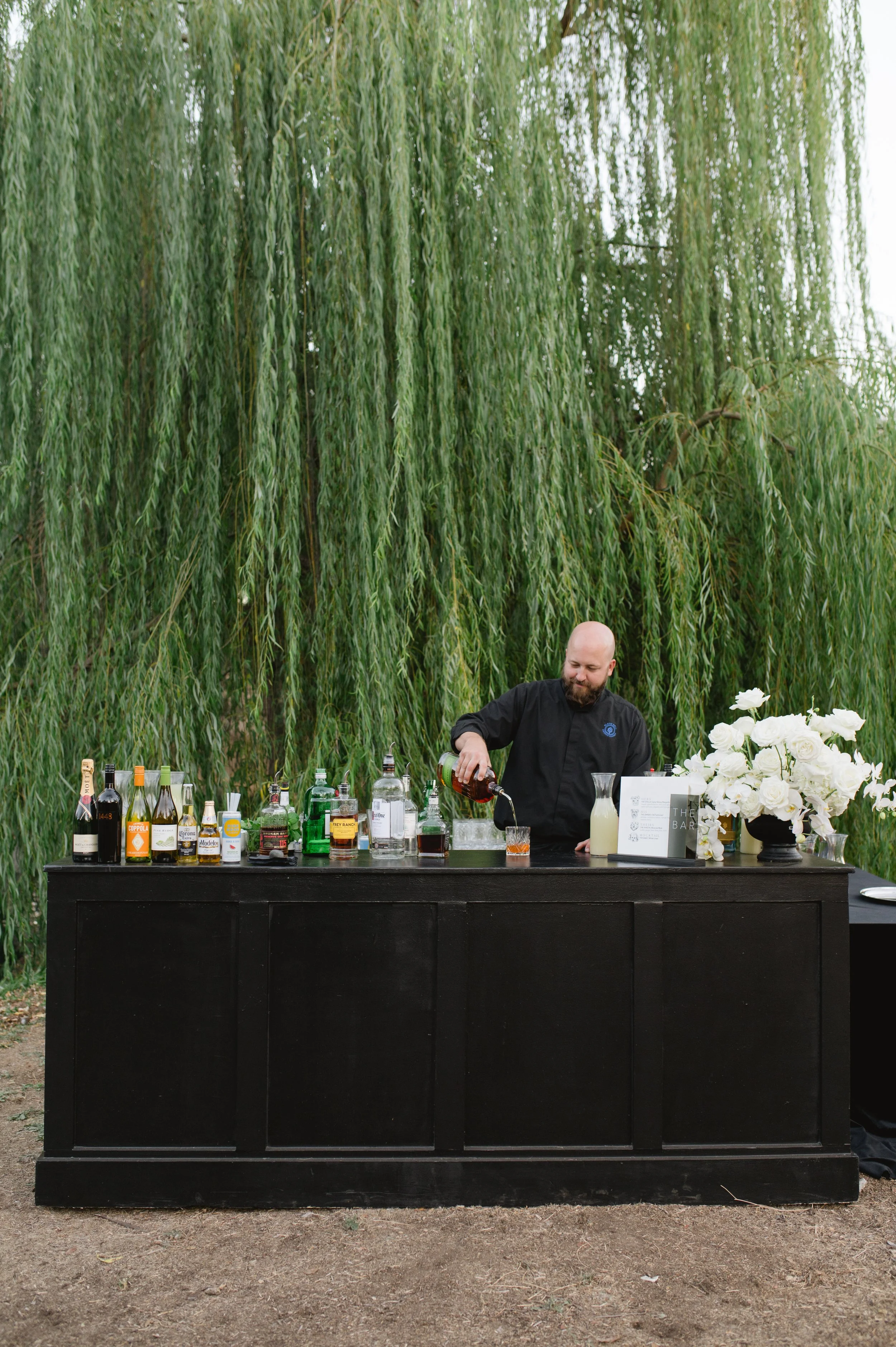 The Pond & Weeping Willow