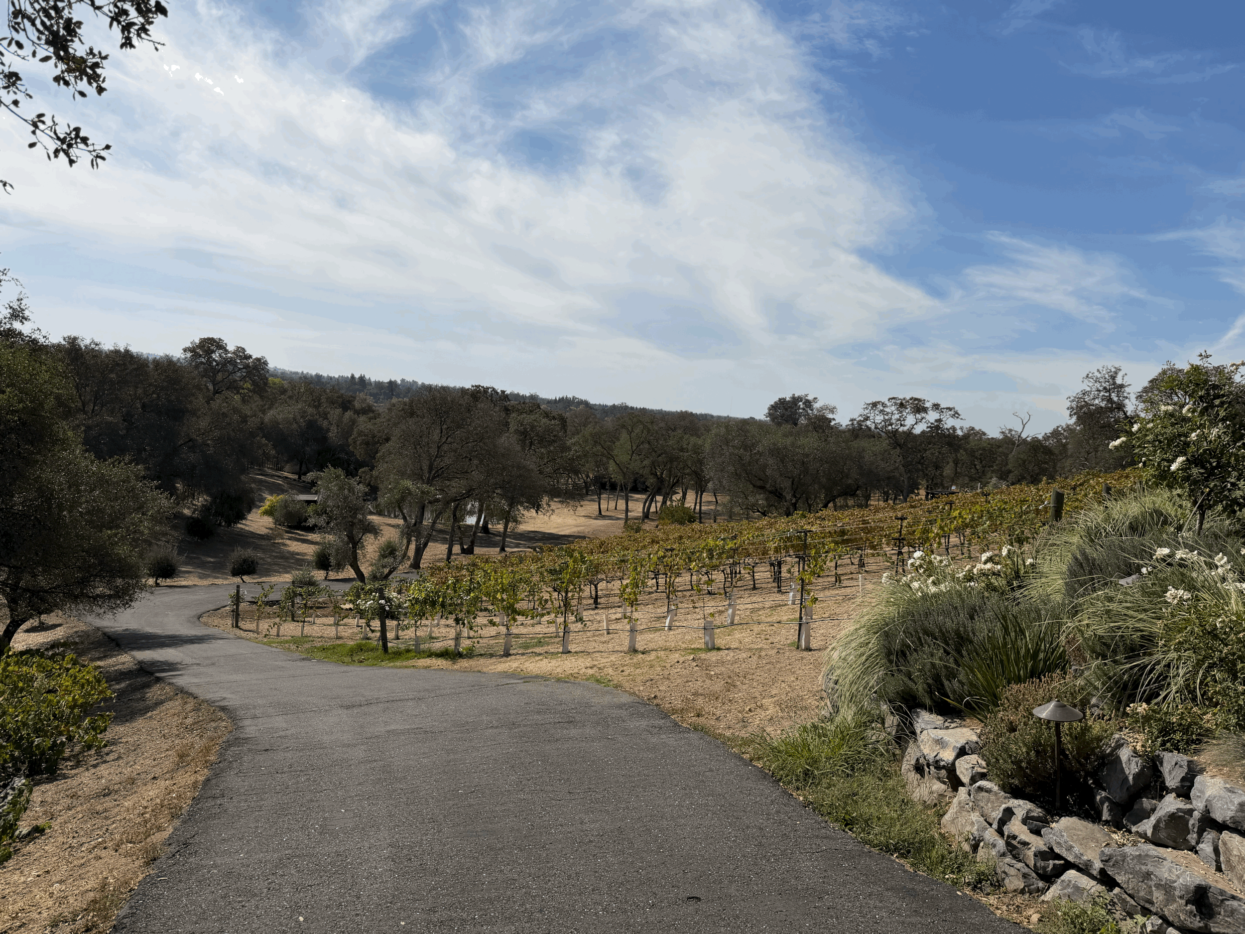 Photography Preview Tour | Seasonal Sessions