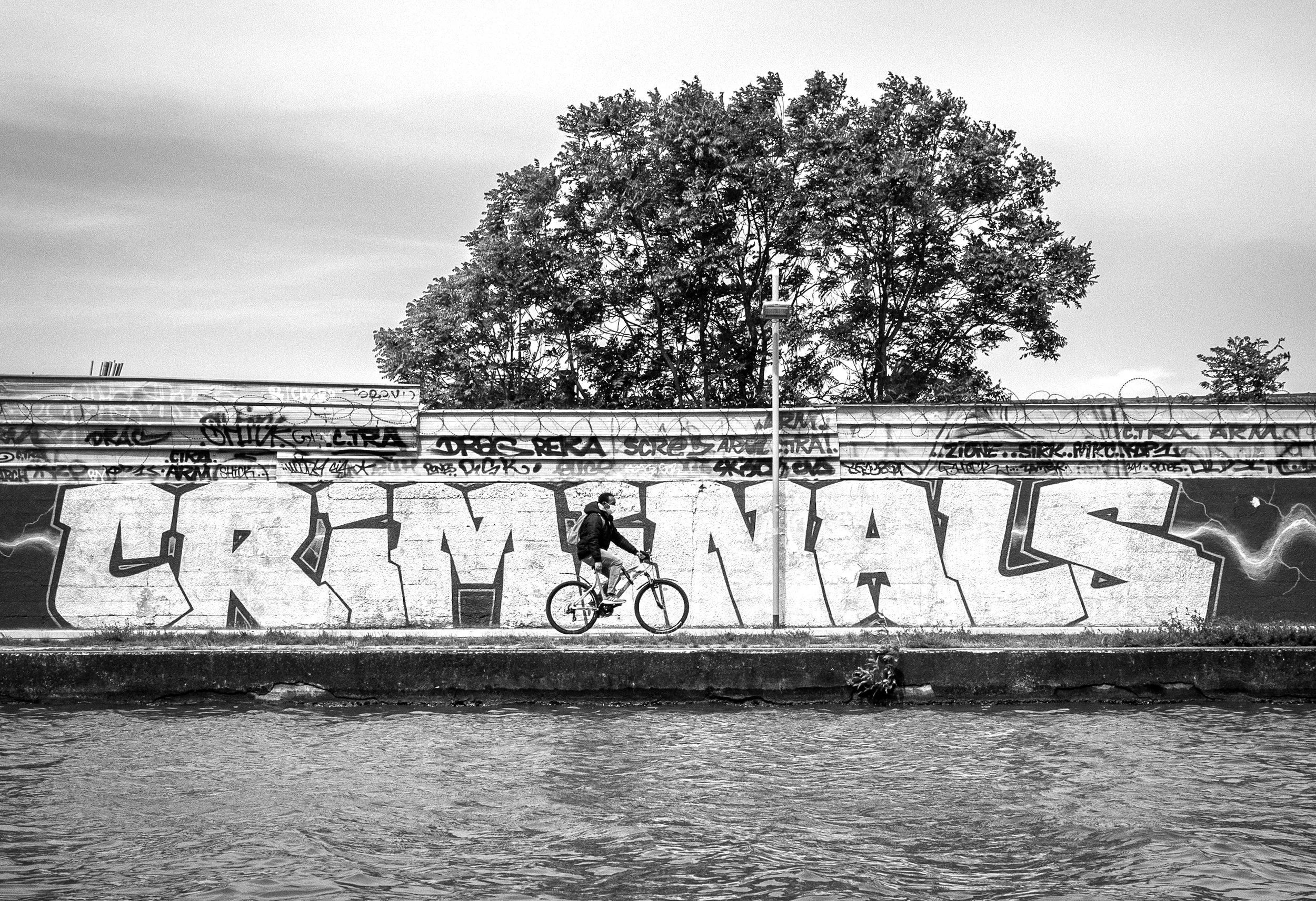Criminals 305x450 color.jpg