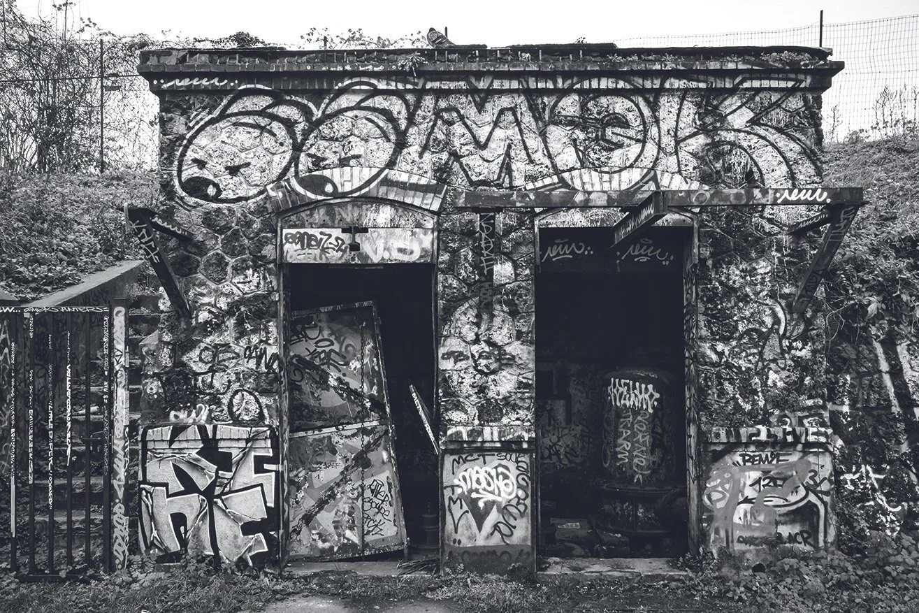 Urban Jungle.jpg