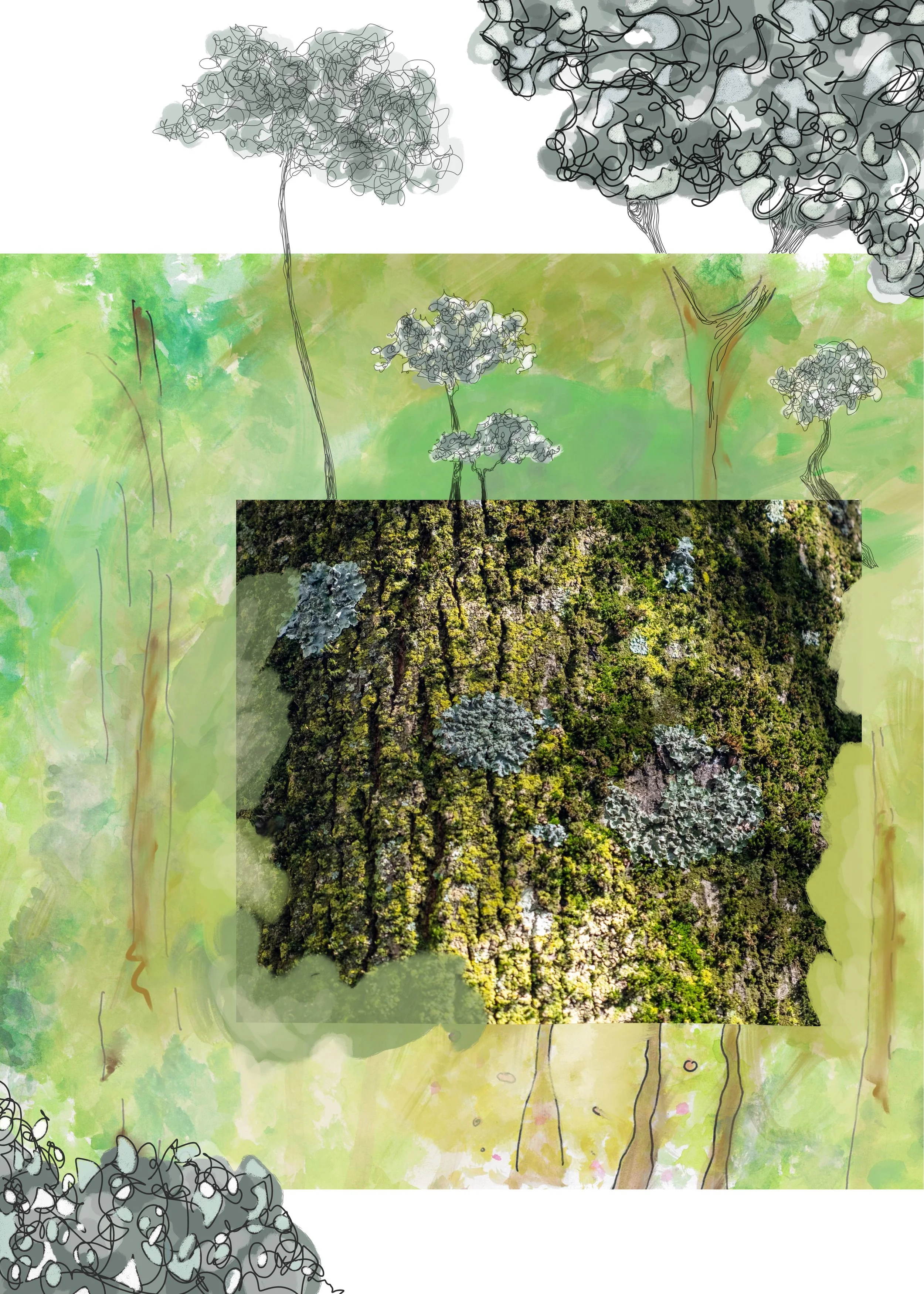 foret3.jpeg
