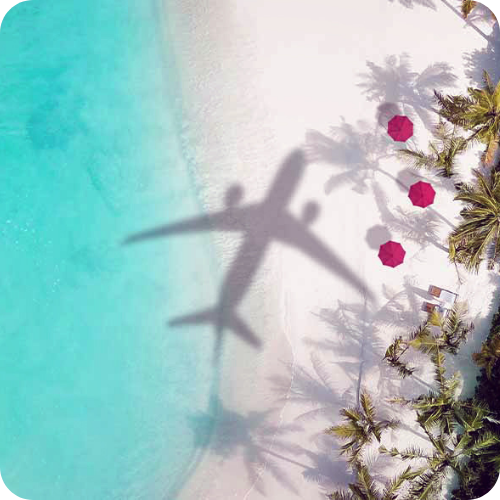 Shadow of an airplane on a beach with palm trees and pink umbrellas.