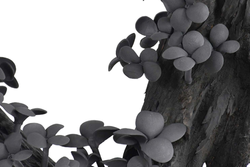 MONOCHROMA 2