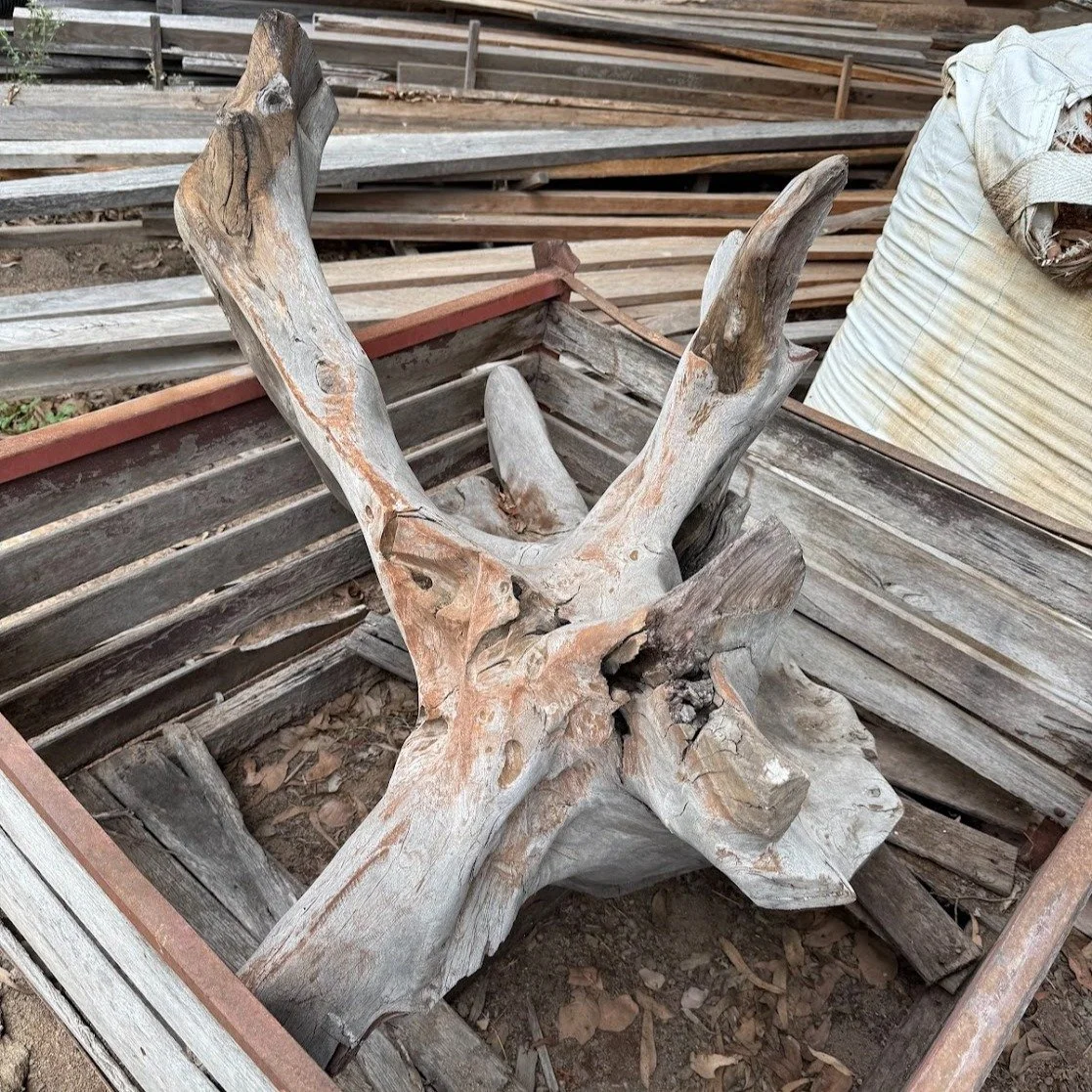 Hoop Pine Tree stumps available for your next project. What could you create? 

#woodworkingproject #woodworking #haveago #australianhardwood #hardwood #roottable #coffeetable #aussiehardwood #australianhardwoodcreations #hooppine #forsale #furniture