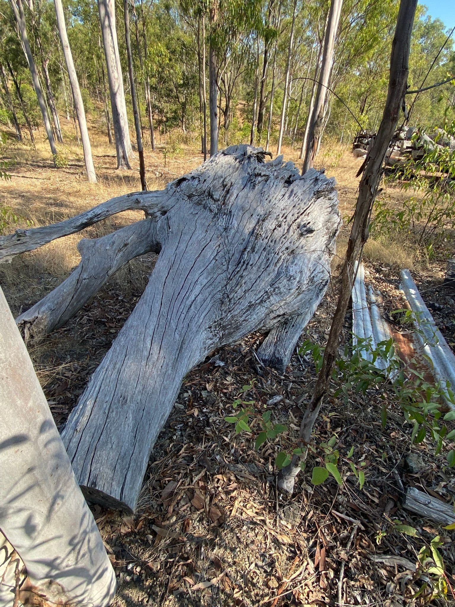 burl-007-c.JPEG