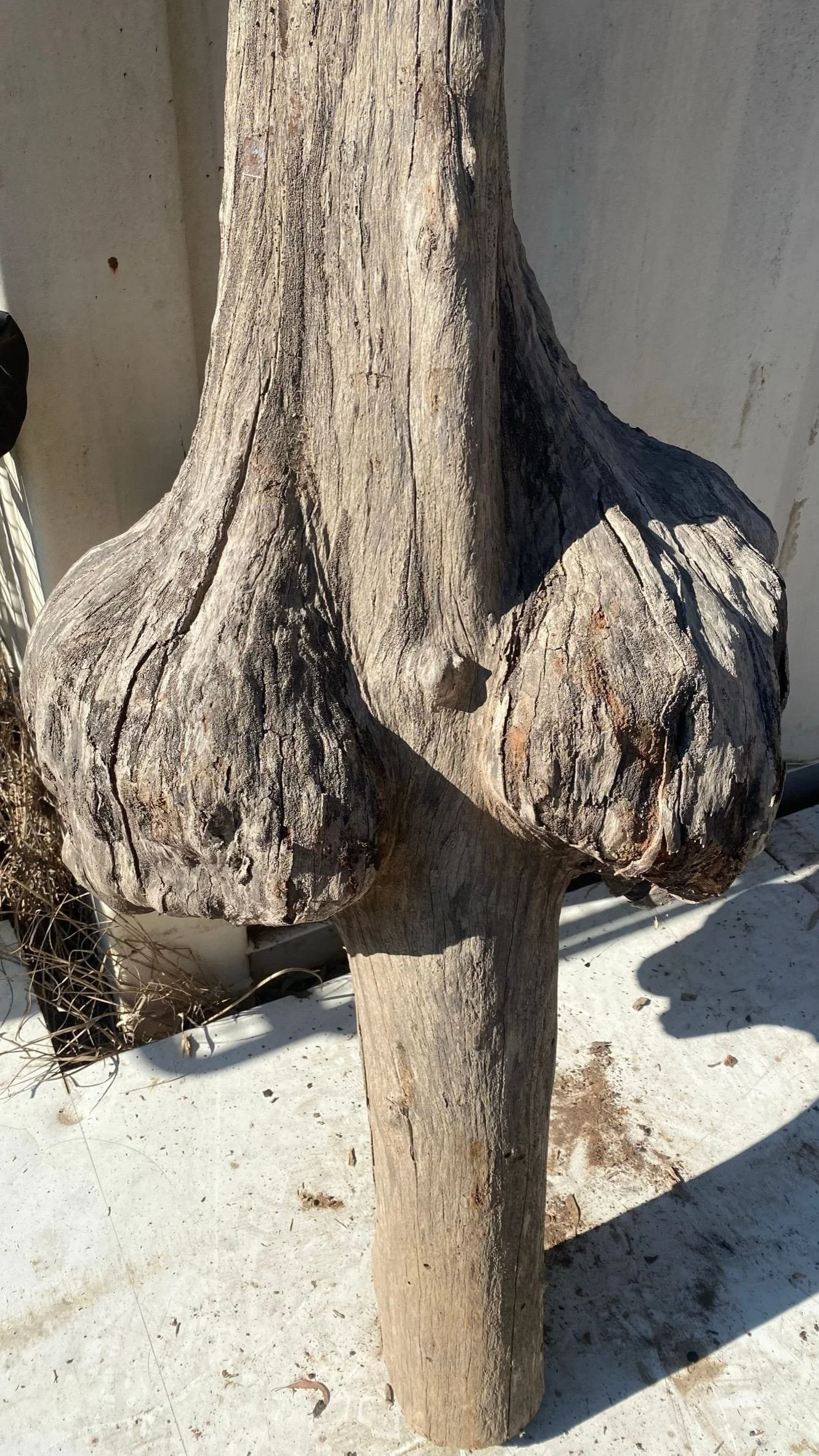 burl-005-b.JPEG