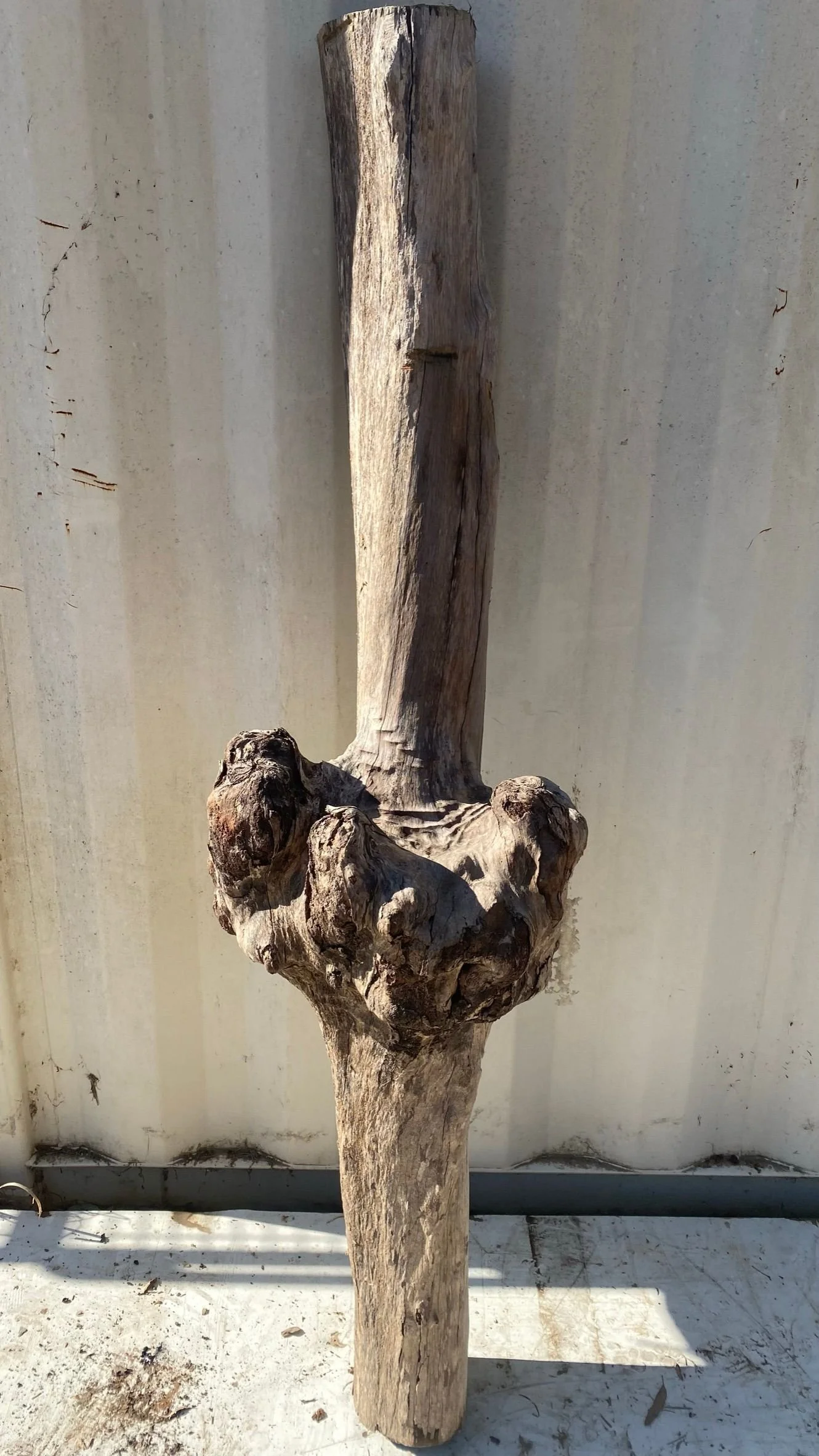 burl-004-a.JPEG