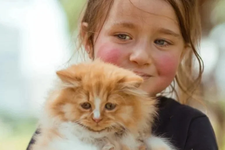 Pet loss and children...