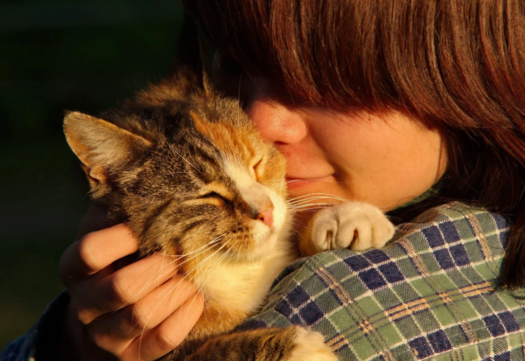 Children and putting pets to sleep