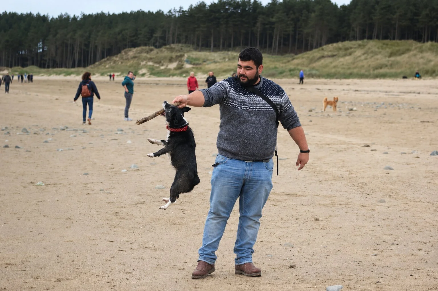 Dr Carlos Megias Roman MRCVS playing fetch his dog Rita on a sandy beach with other people and dogs in the background.