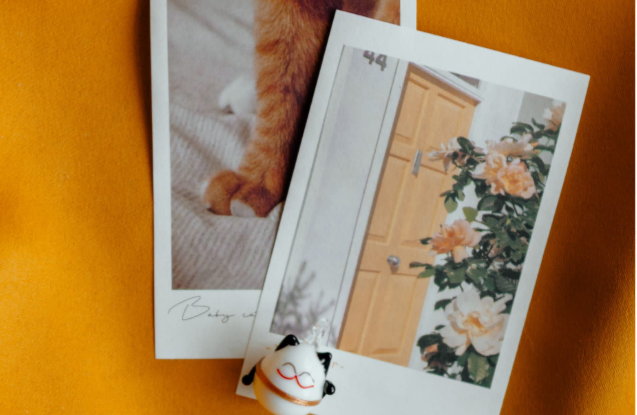 Celebrating your pets life