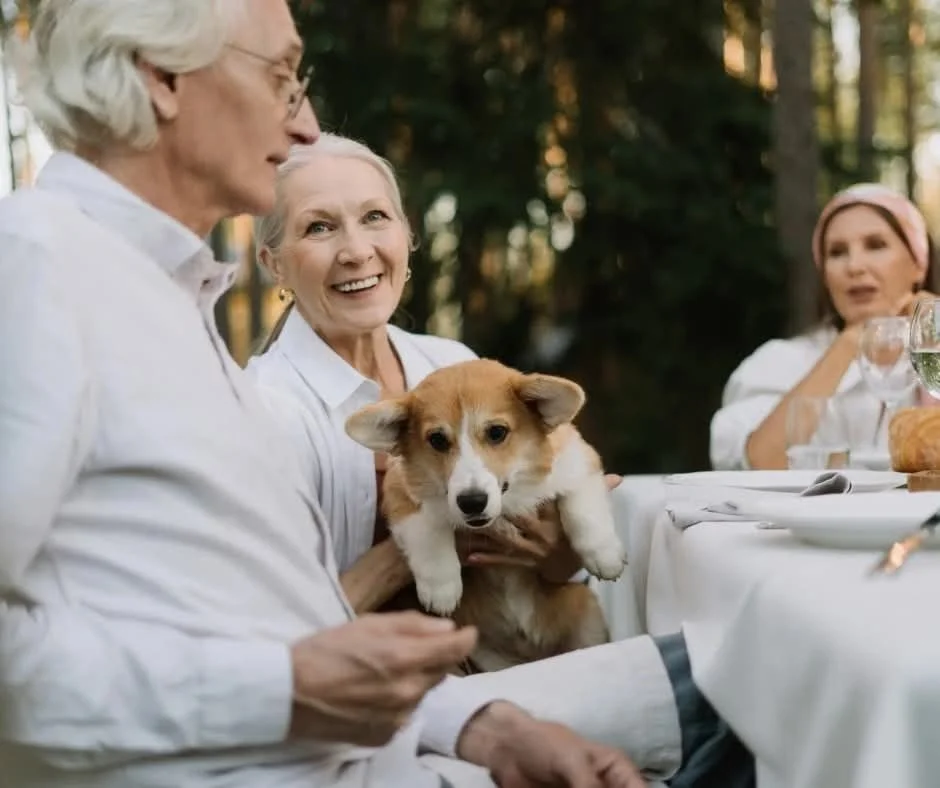 Pet loss and the elderly