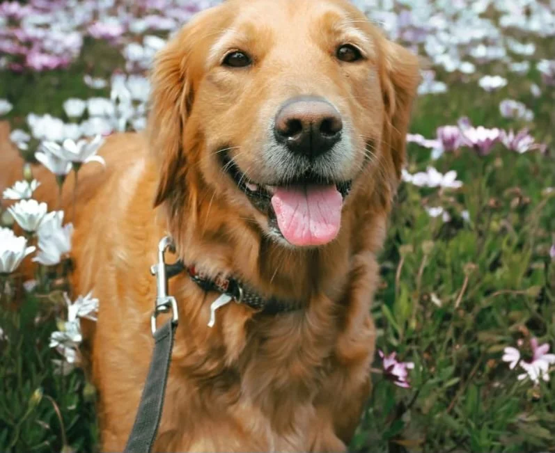 Spring has arrived...