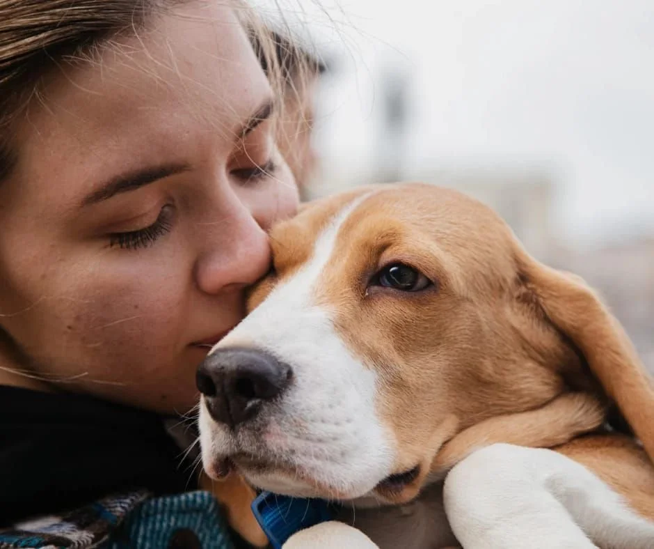Benefits of at home pet euthanasia