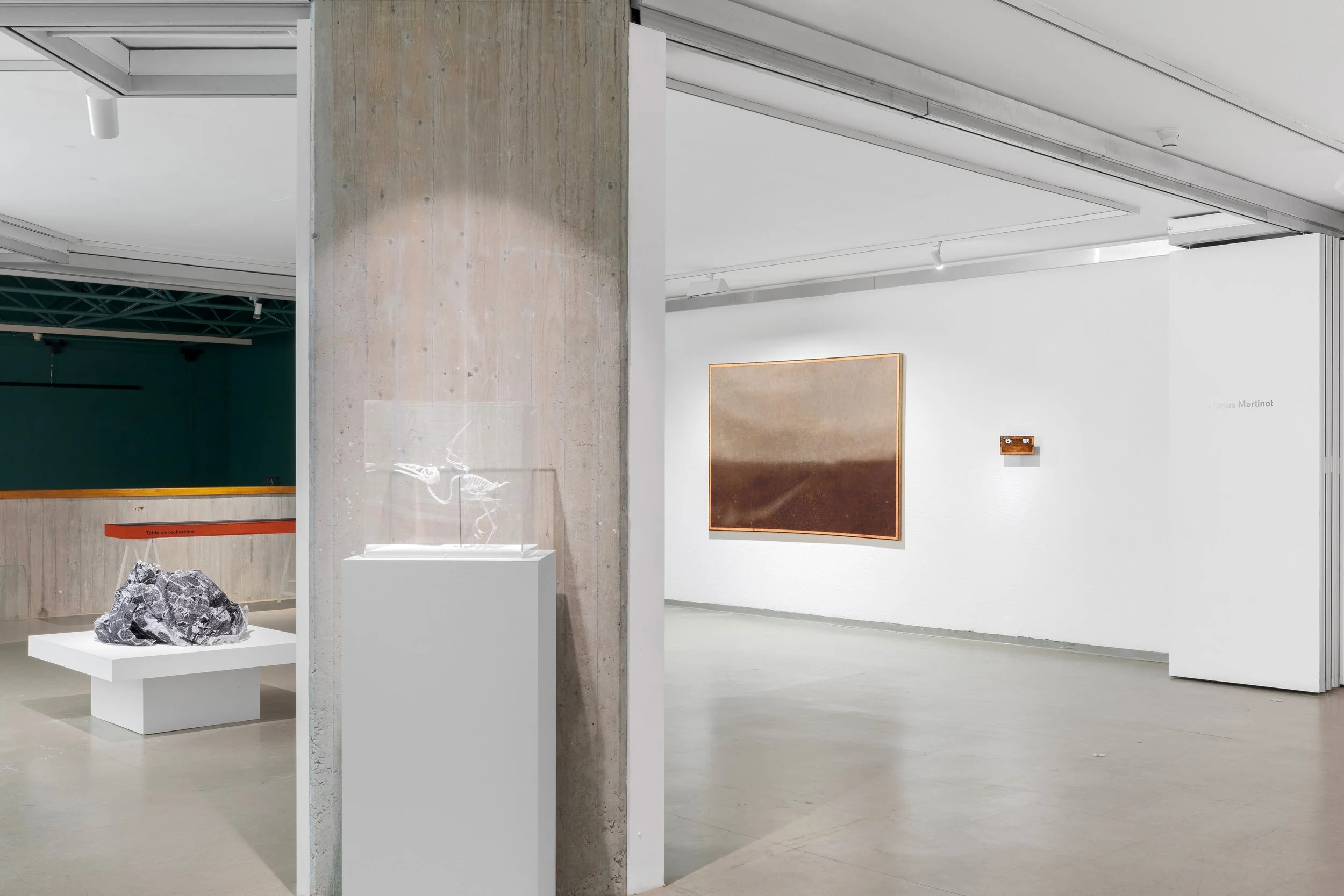 Vue exposition TAMAT Marius Martinot art peinture textile sculpture sucre ruine paysage squelette oiseau