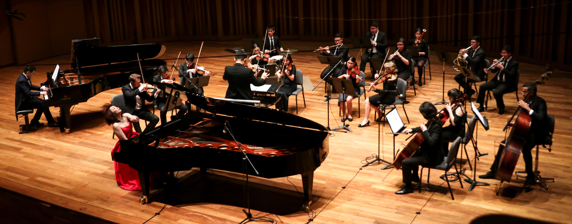 An orchestra performing on stage, including a pianist in a red dress, a conductor, and musicians playing violins, cellos, flutes, and clarinets.