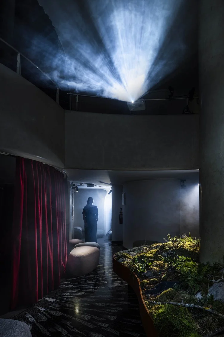 Forest Wandering - Exhibition at Salone del Mobile 2023 by Front Design + Moroso