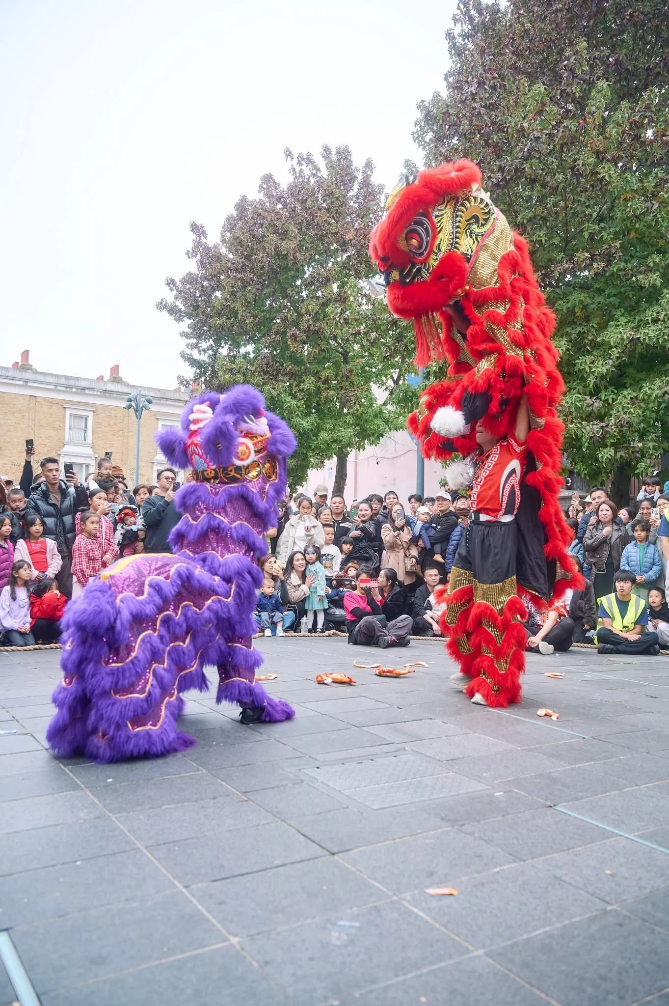 Lion dance performers in colorful costumes performing on a street stage with an audience watching. The lions are purple and red, and the performers are partially visible. Trees and a building are in the background.