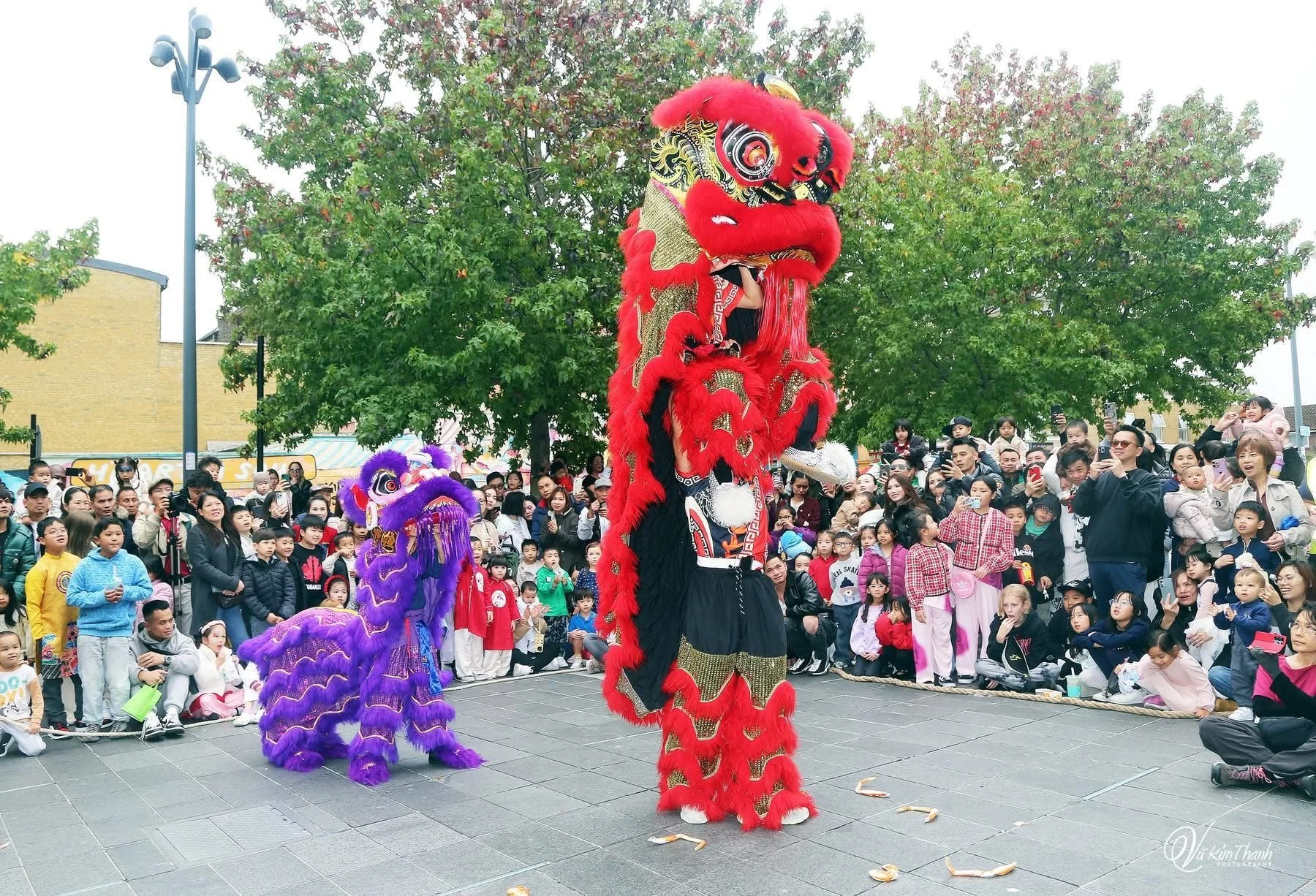 A lion dance performance with a large red lion costume and a smaller purple lion costume, surrounded by a crowd of children and adults in an outdoor setting during daytime. The audience is watching and taking photos as performers dance.