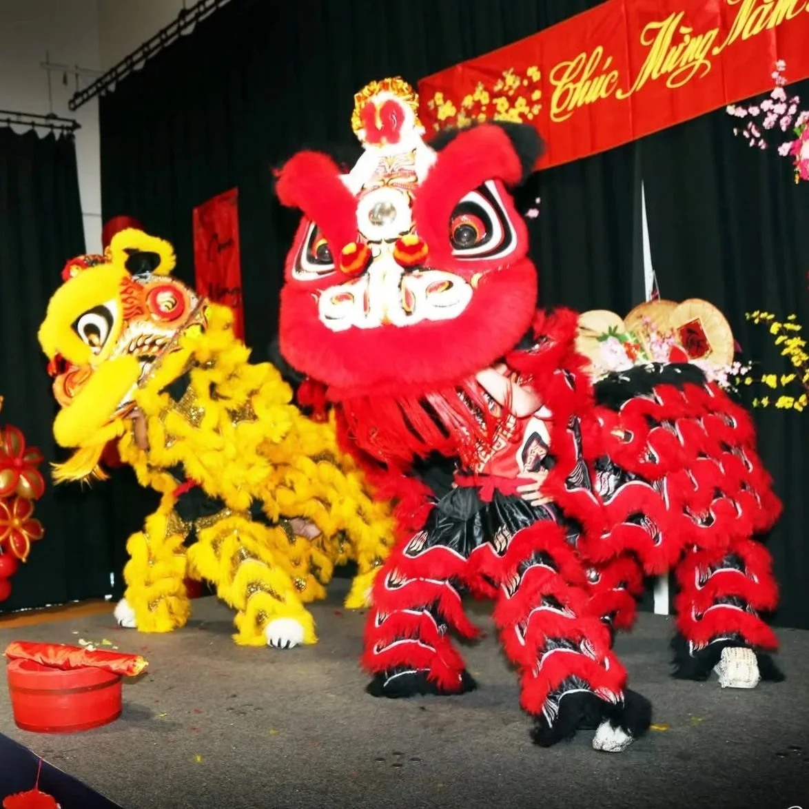 Two lion dance performers in colorful costumes, one red and one yellow, on a stage with a black curtain background and red banners with yellow lettering celebrating a cultural event.