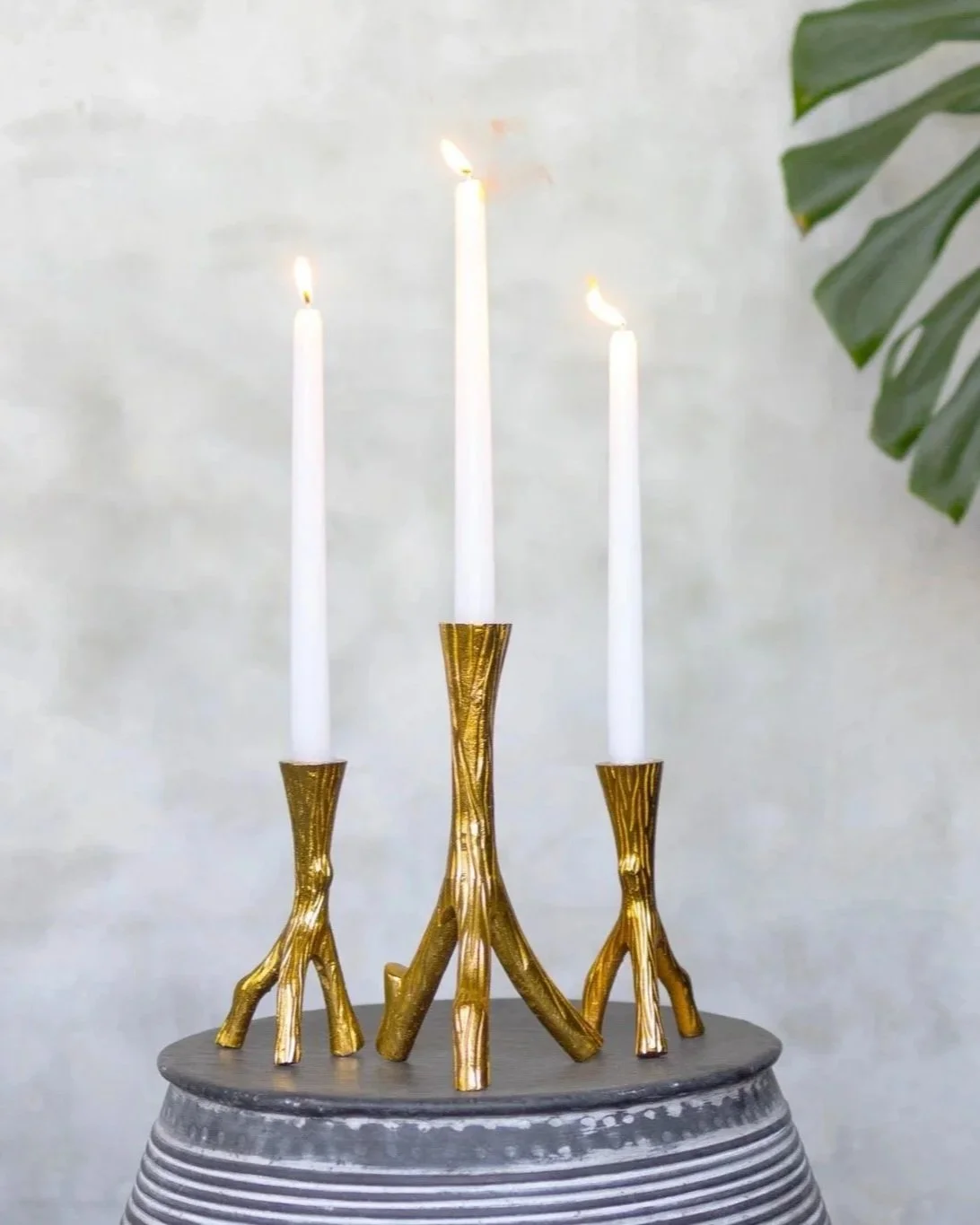 Three gold-colored candle holders designed to look like abstract tree branches, each holding a tall white candle, placed on a round metallic surface against a plain background with a green plant leaf visible on the right.