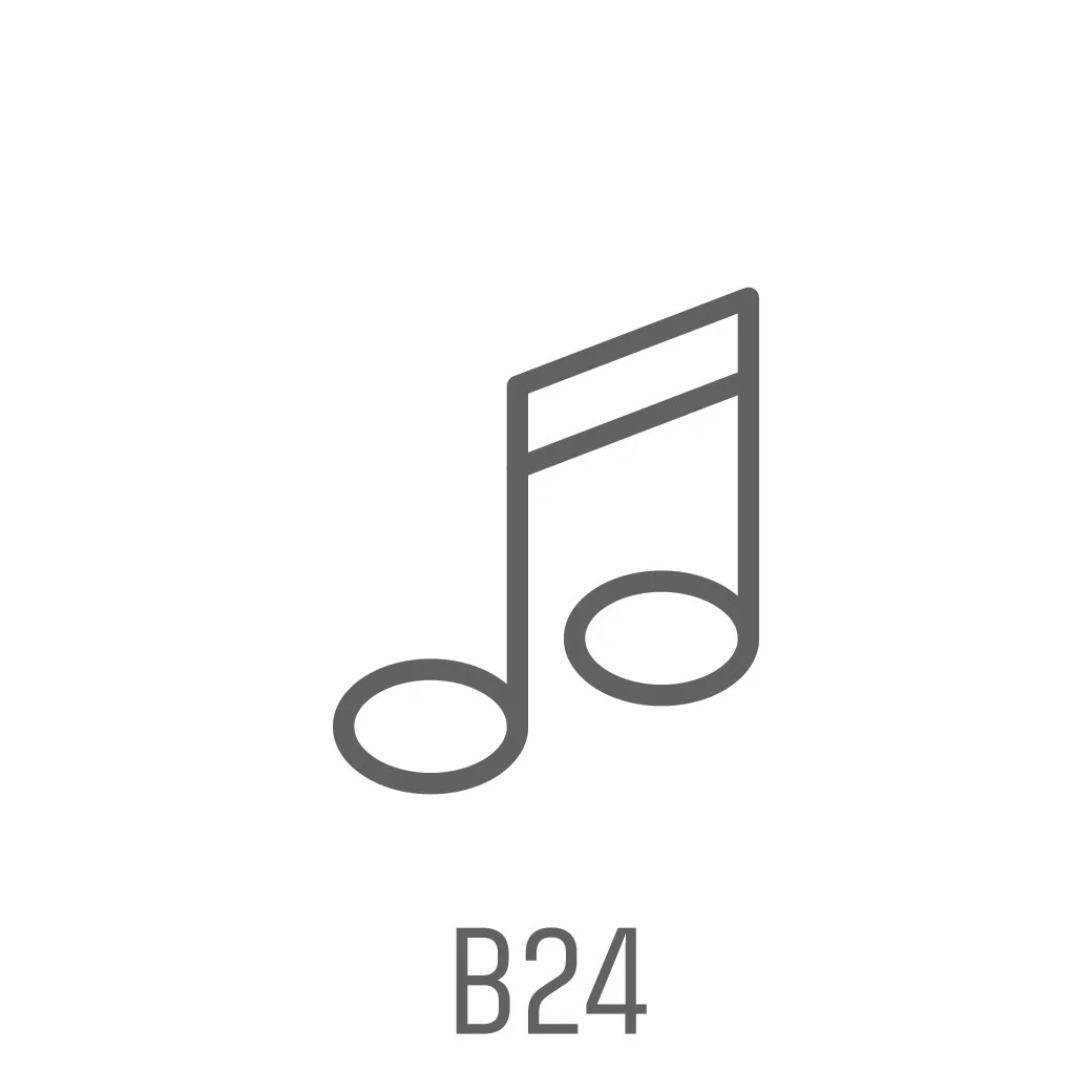 Audio and video icons for engraved buttons and switches