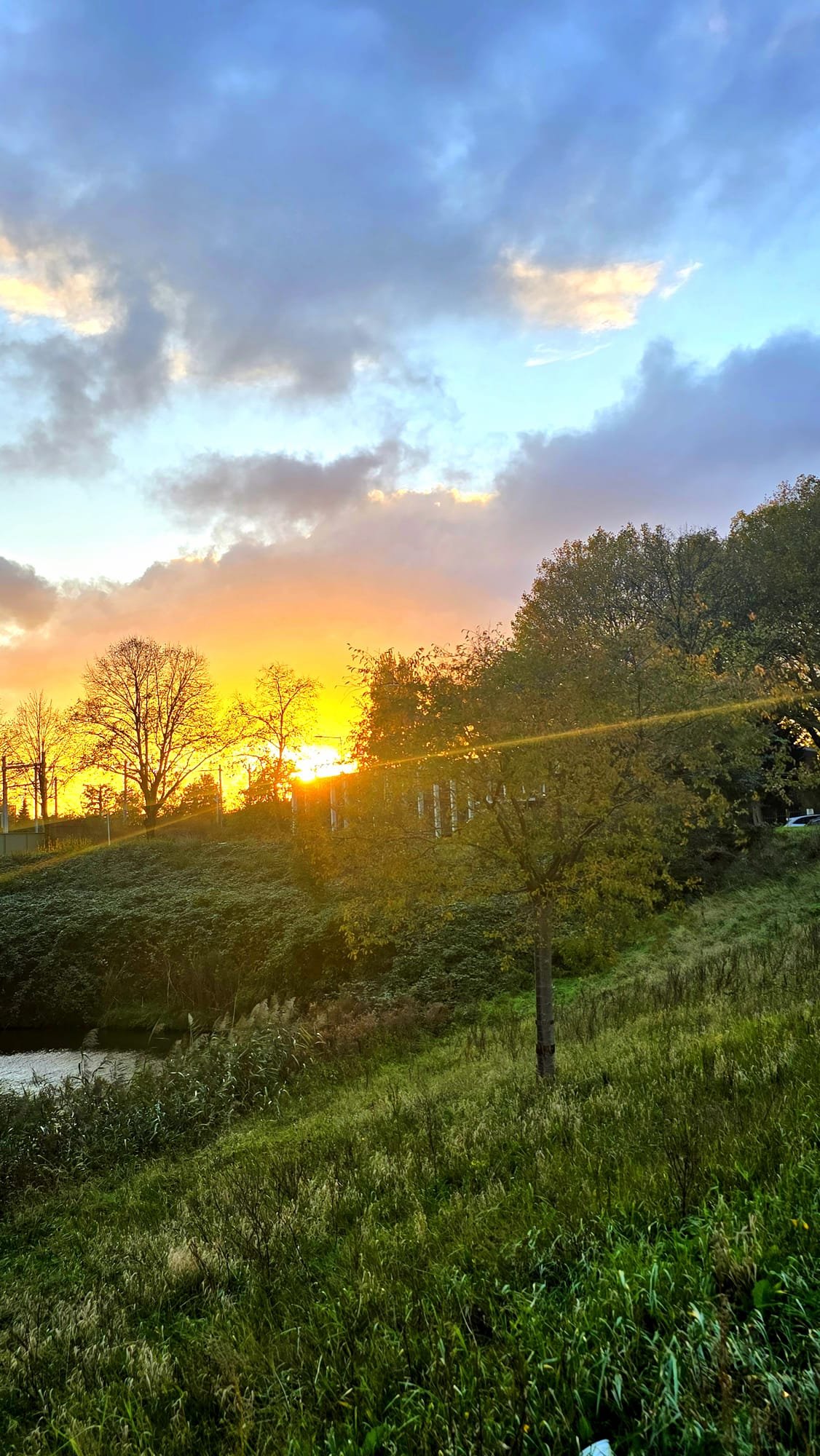 Sunset over a grassy riverbank with trees and a partly cloudy sky.