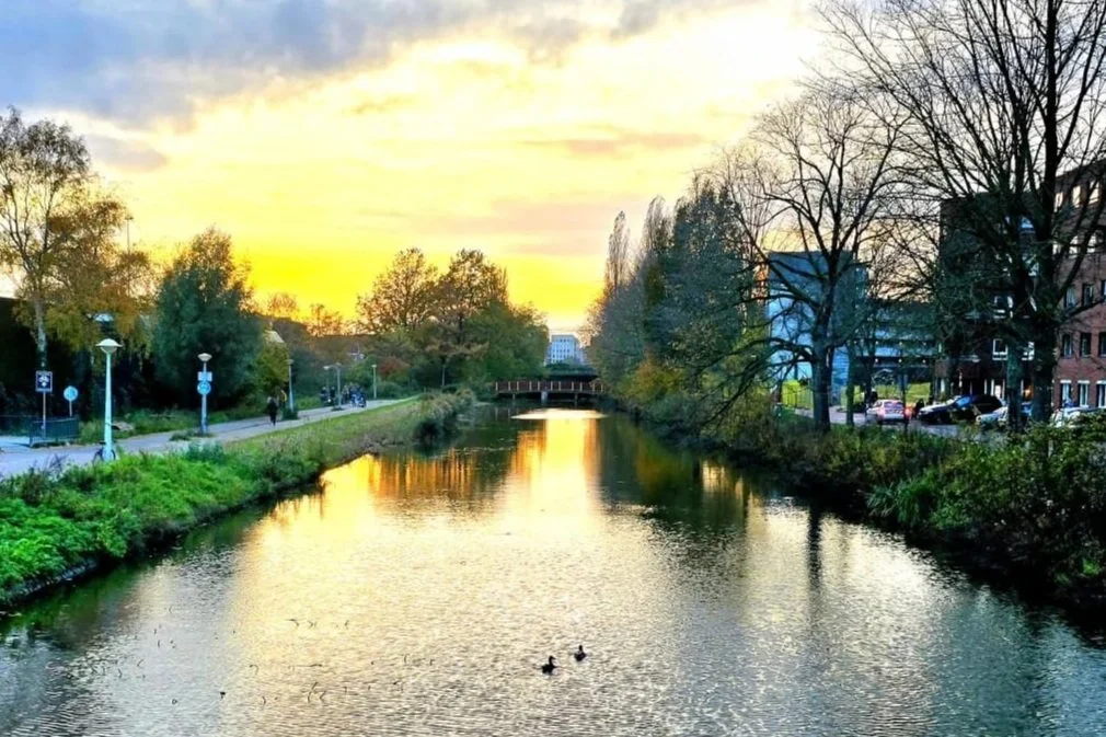 A river with a reflection of a sunset sky, trees on either side, and a bridge in the distance. There's a walking path with street lamps and a few people, along with cars parked on the right side.