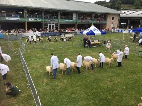 Royal Welsh show