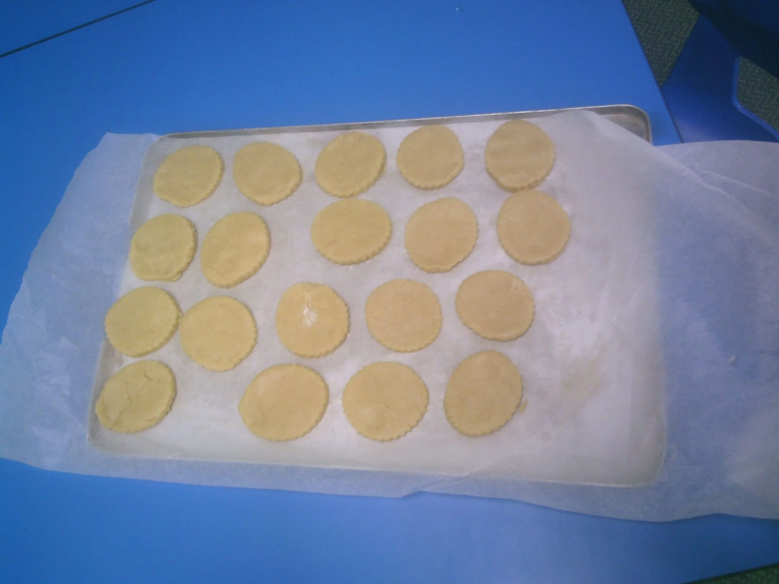 SUNP0884-scaled.jpg