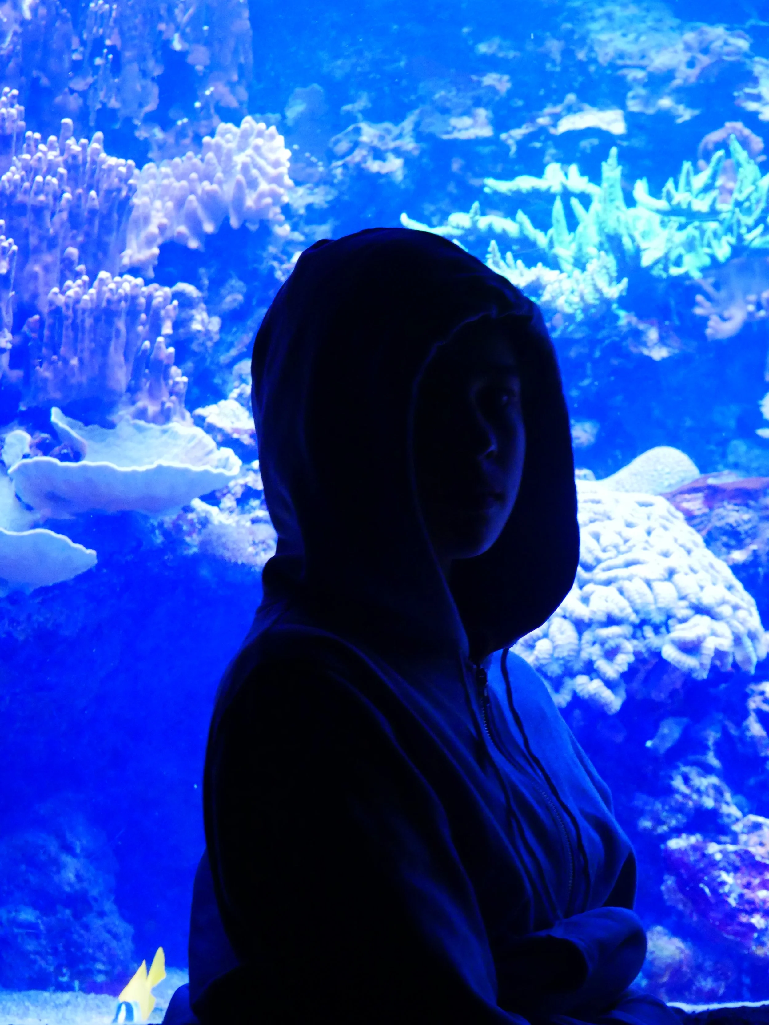 P1170559.JPG