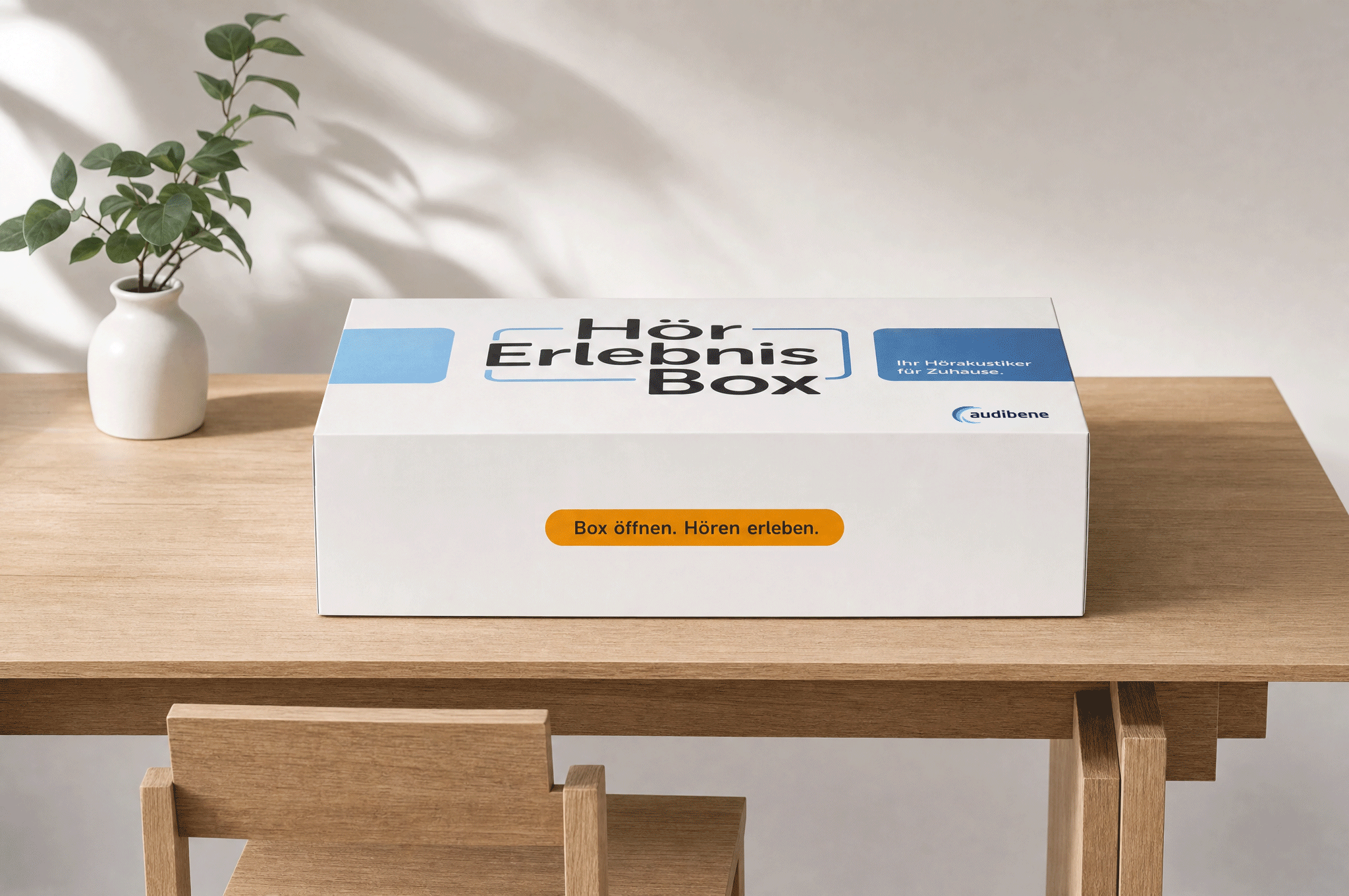 audibene <br> Teleaudiology