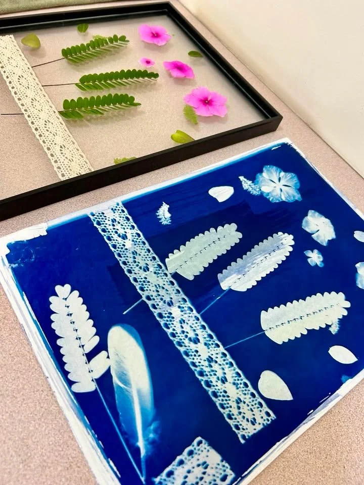 A display of pressed and dried leaves and flowers arranged in a black frame and on a blue board, with some lace strips for decoration.