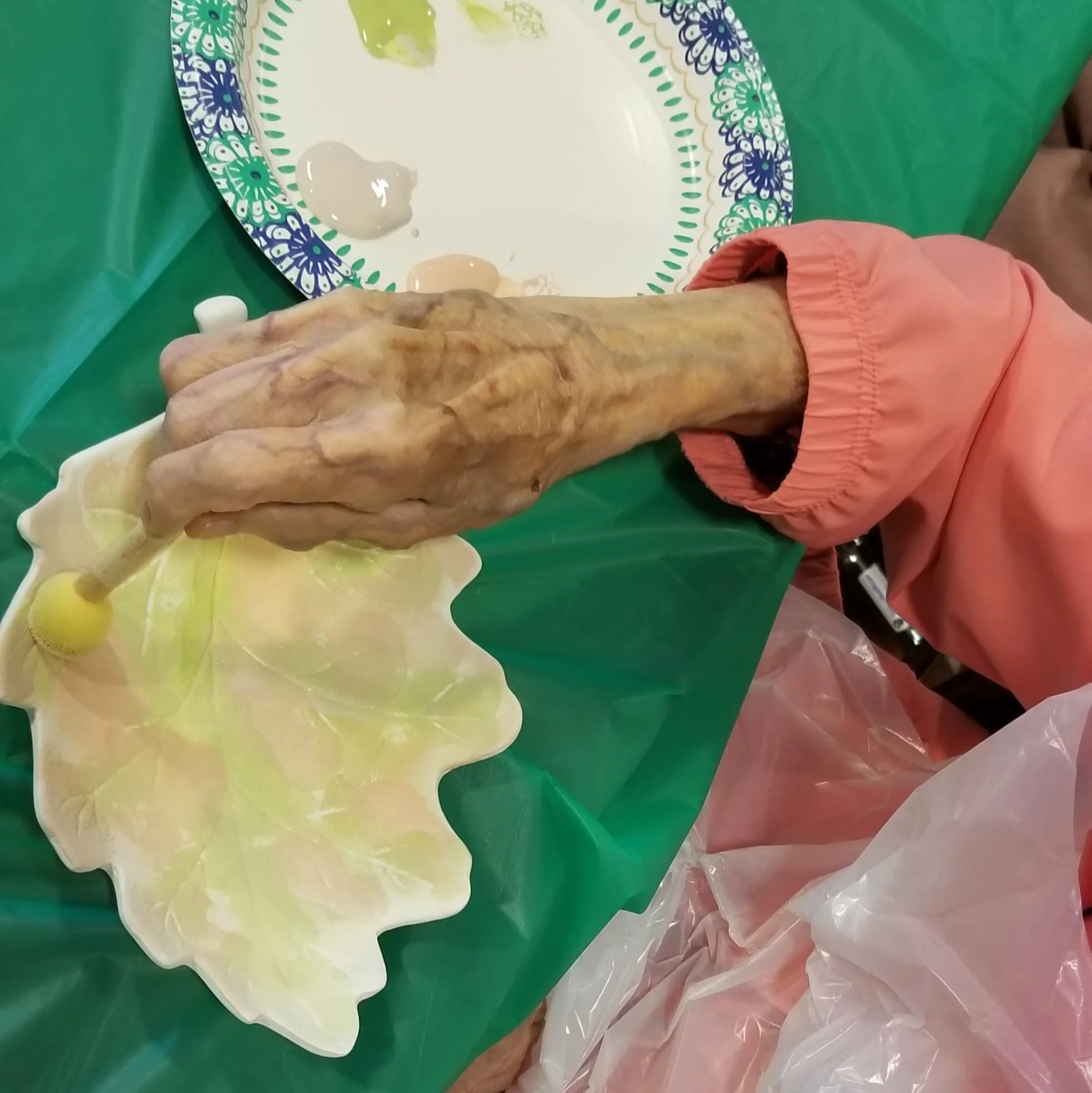 A person wearing a pink sleeve is holding a large, ornate plate with a floral pattern, and there are some spilled liquids on the plate. The plate is placed on a green surface, and the person’s hand is partially covered with a plastic glove.