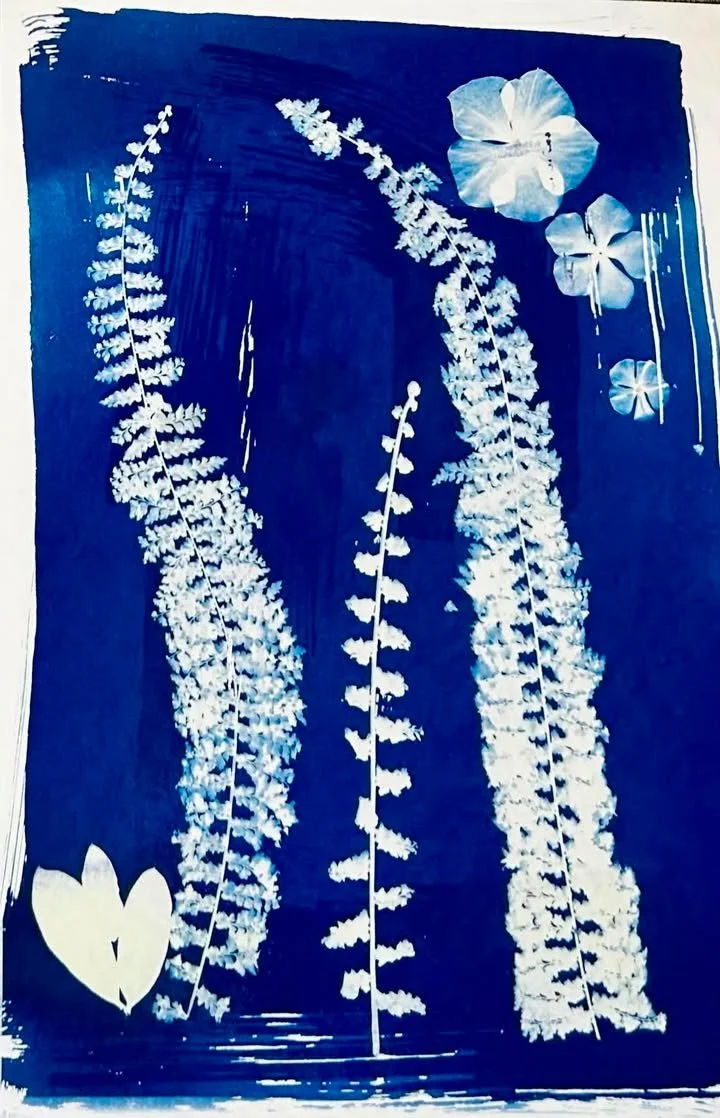 Blue background with white pressed fern leaves and hibiscus flowers arranged decoratively.