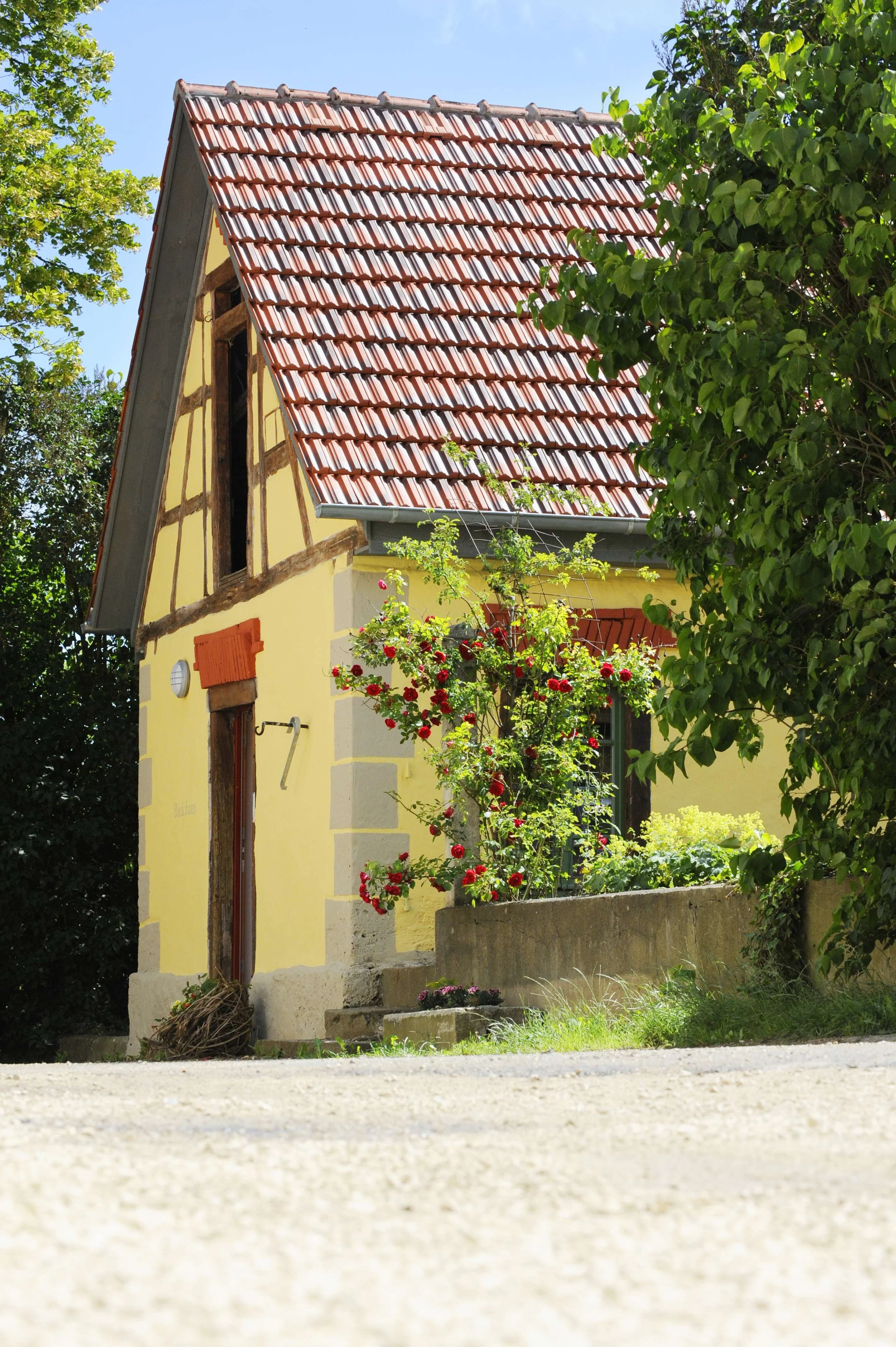 Ein gelbes Haus mit roten Fensterläden und einem roten Ziegeldach, umgeben von blühenden Rosen und grünen Bäumen, unter einem blauen Himmel.