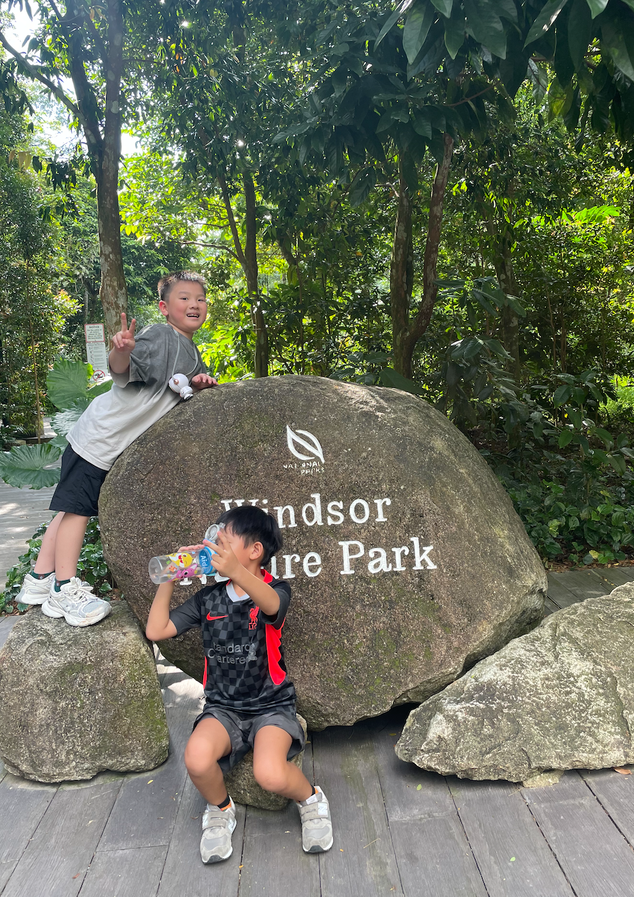 Two young boys playing at Windsor Nature Park, one standing on a rock making a peace sign, the other sitting and drinking water, surrounded by green trees.